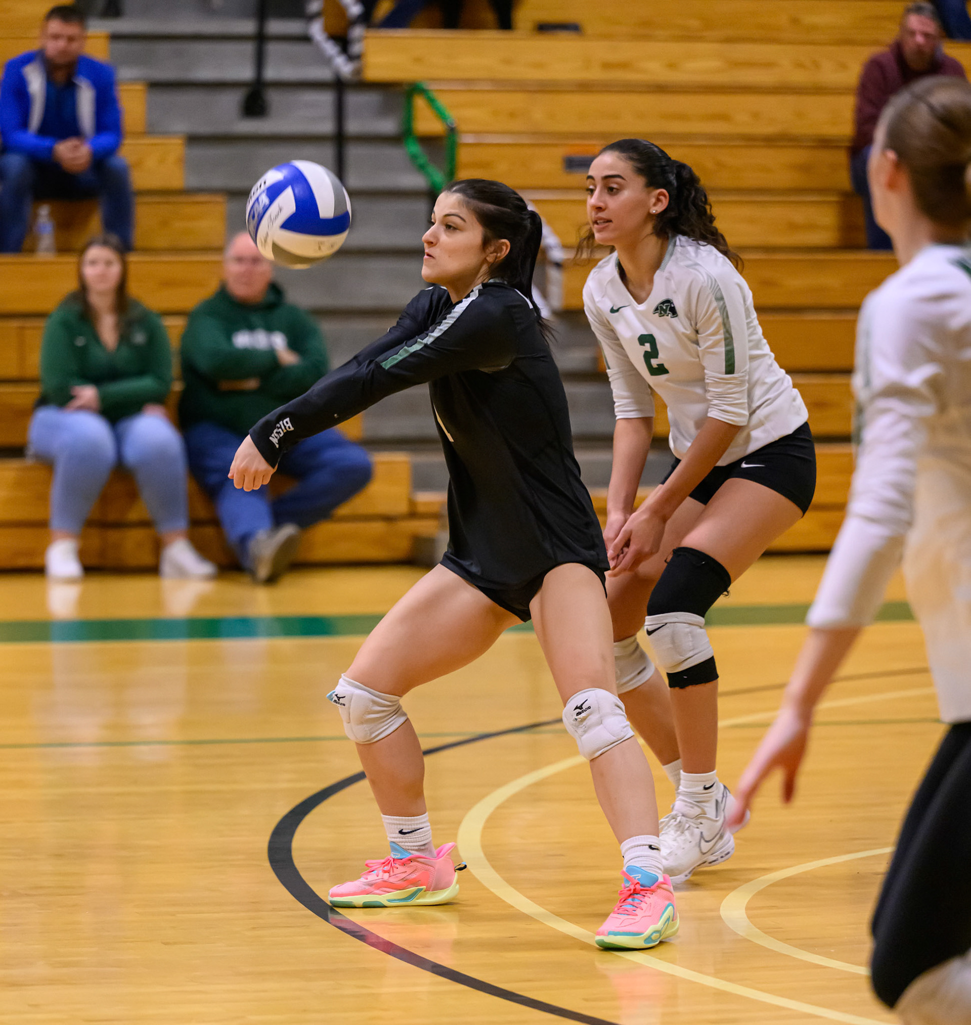 Nichols Volleyball