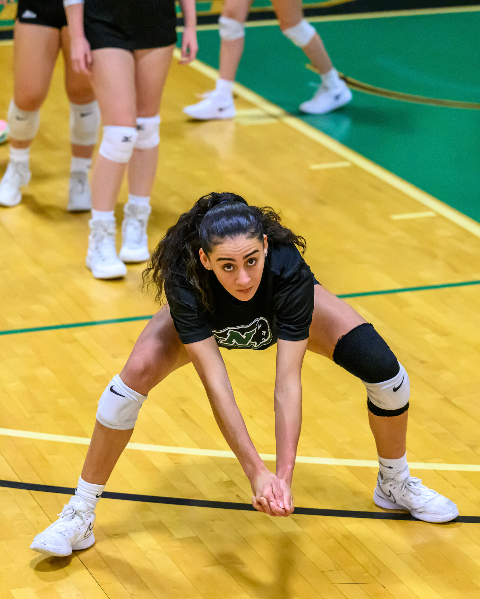Nichols Volleyball