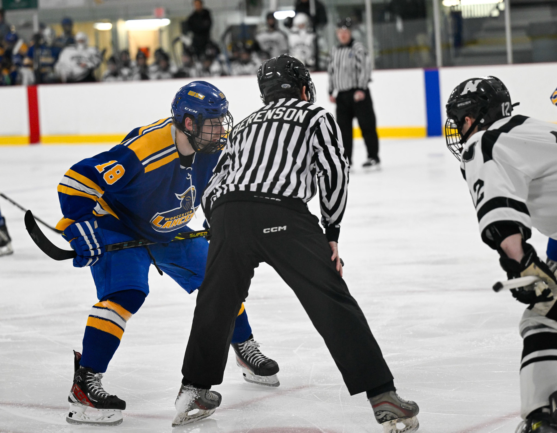 WSU Men's Ice Hockey