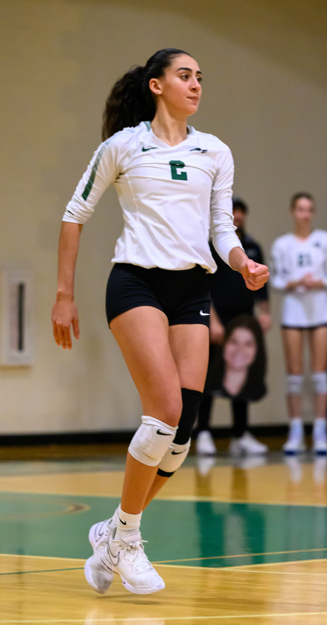 Nichols Volleyball