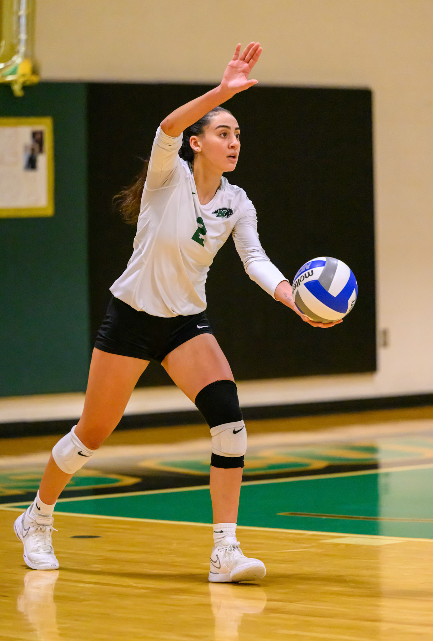 Nichols Volleyball