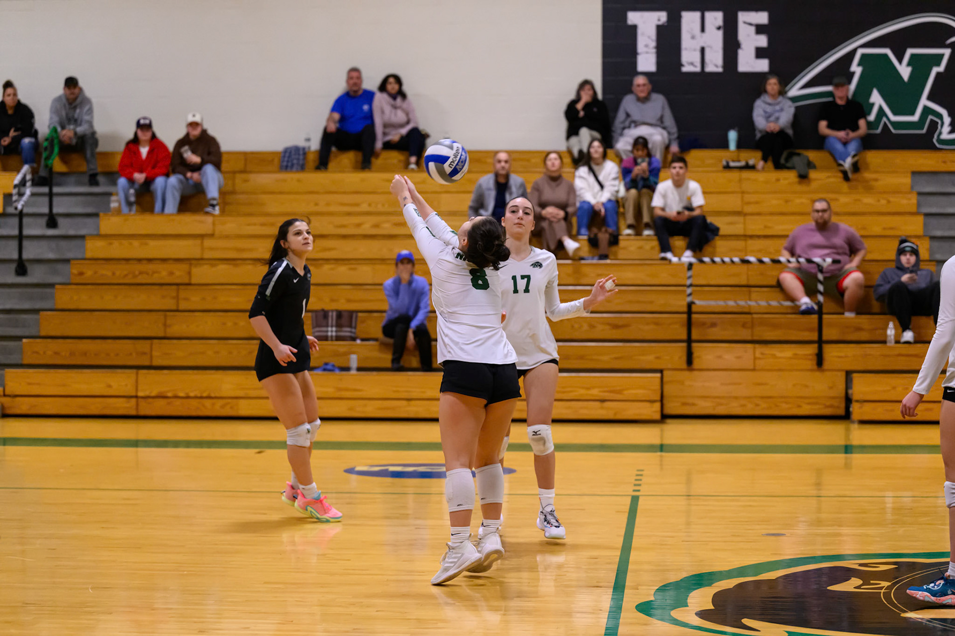 Nichols Volleyball