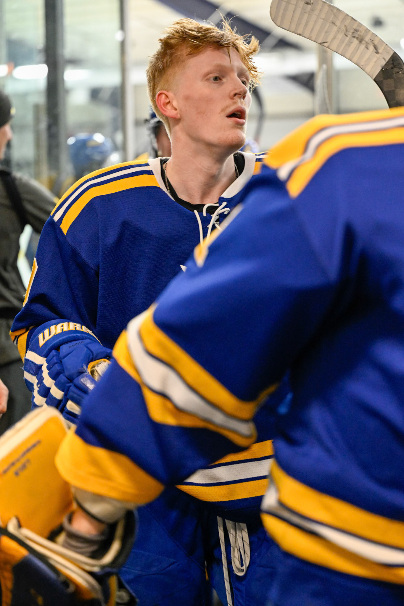 WSU Men's Ice Hockey
