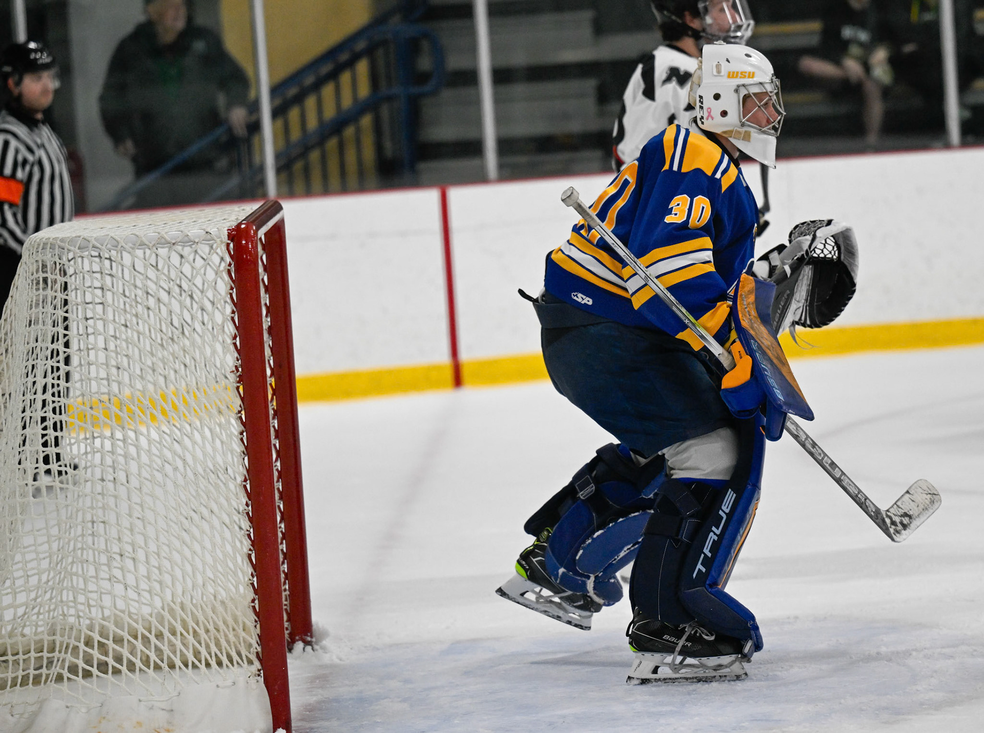 WSU Men's Ice Hockey
