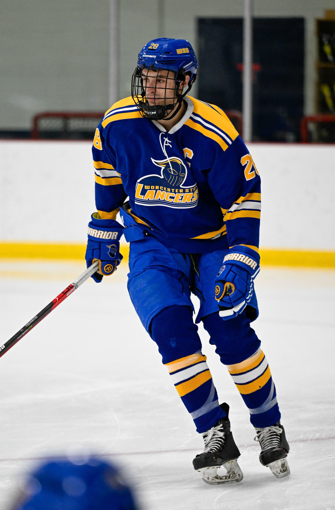 WSU Men's Ice Hockey