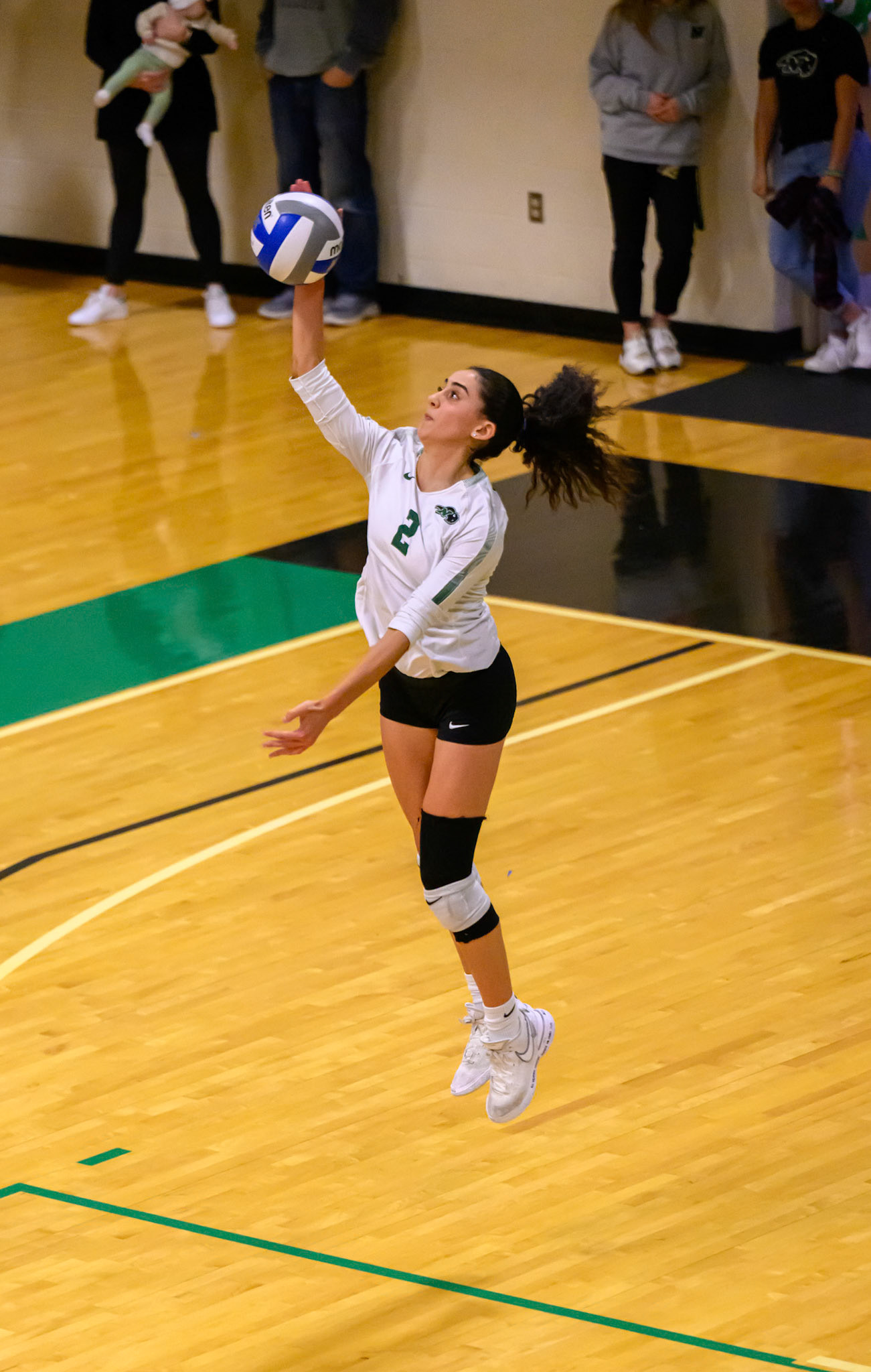 Nichols Volleyball