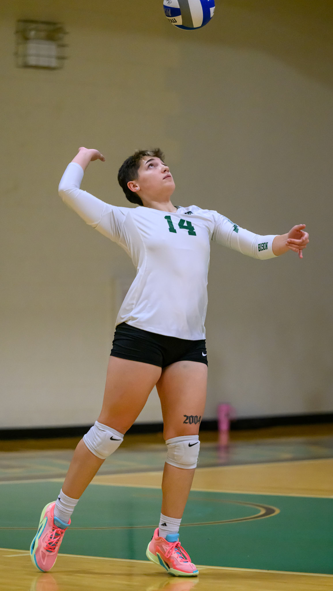 Nichols Volleyball