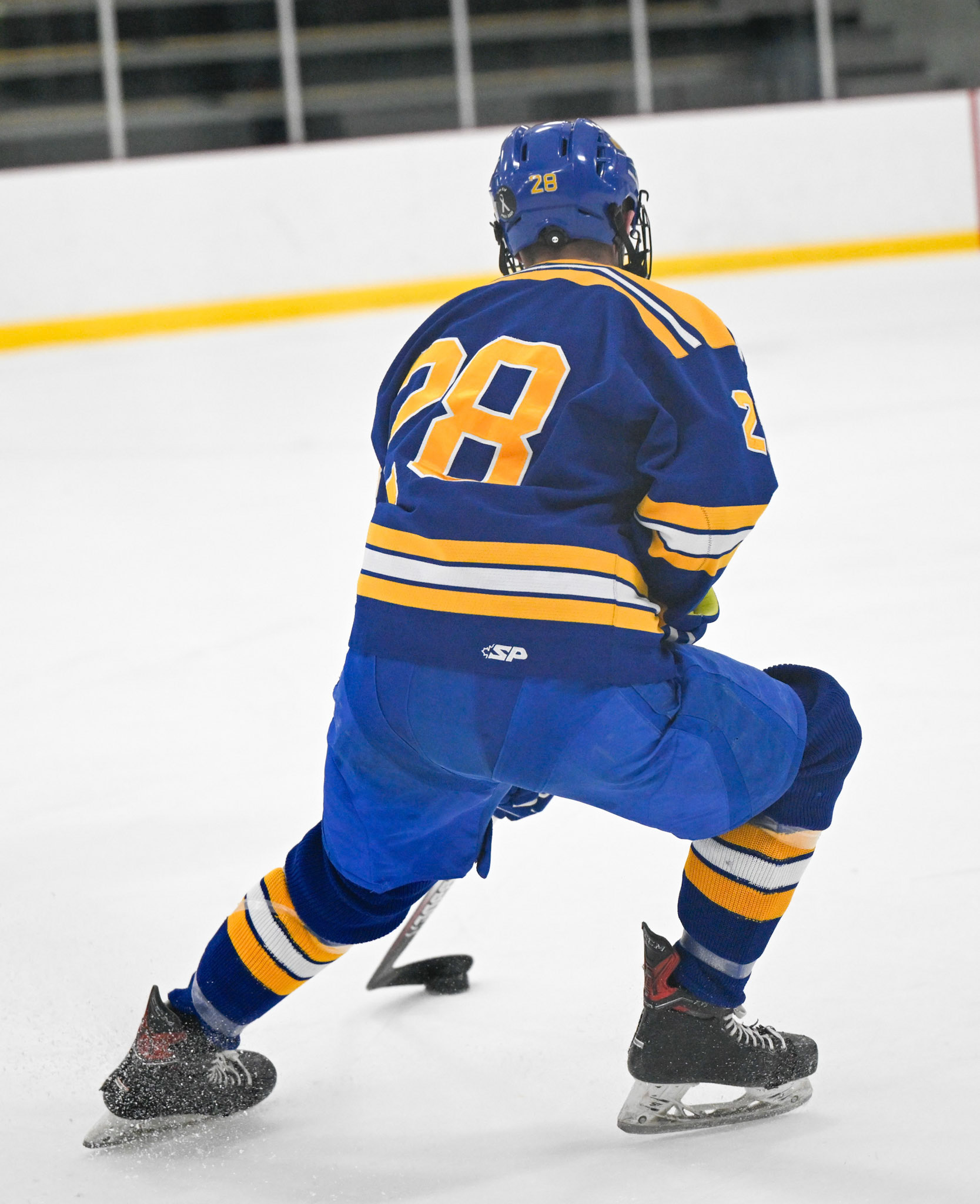 WSU Men's Ice Hockey