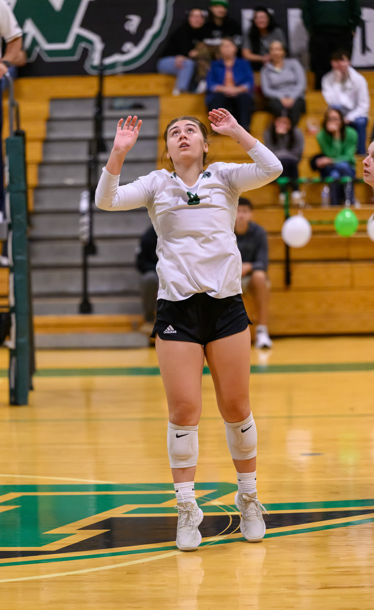 Nichols Volleyball