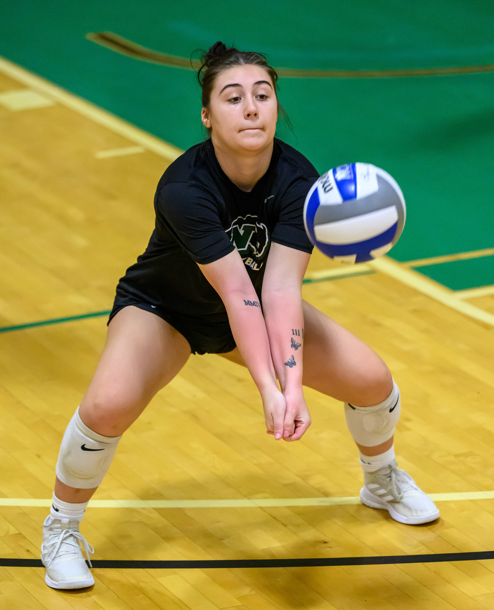 Nichols Volleyball