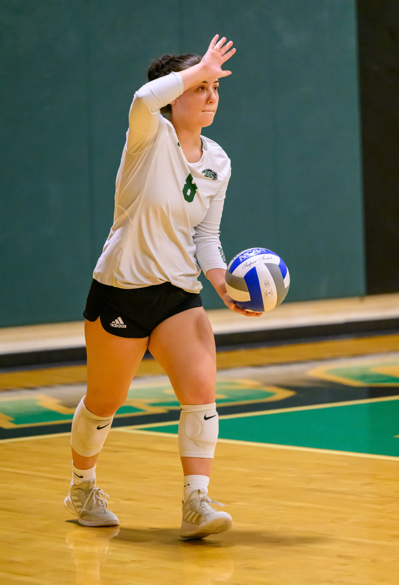 Nichols Volleyball