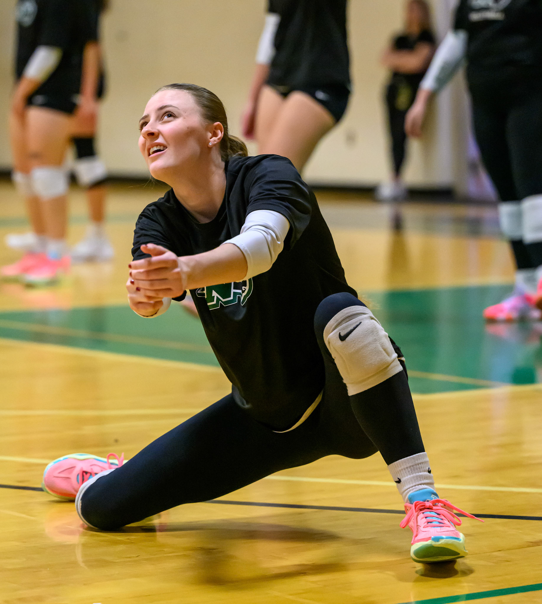 Nichols Volleyball