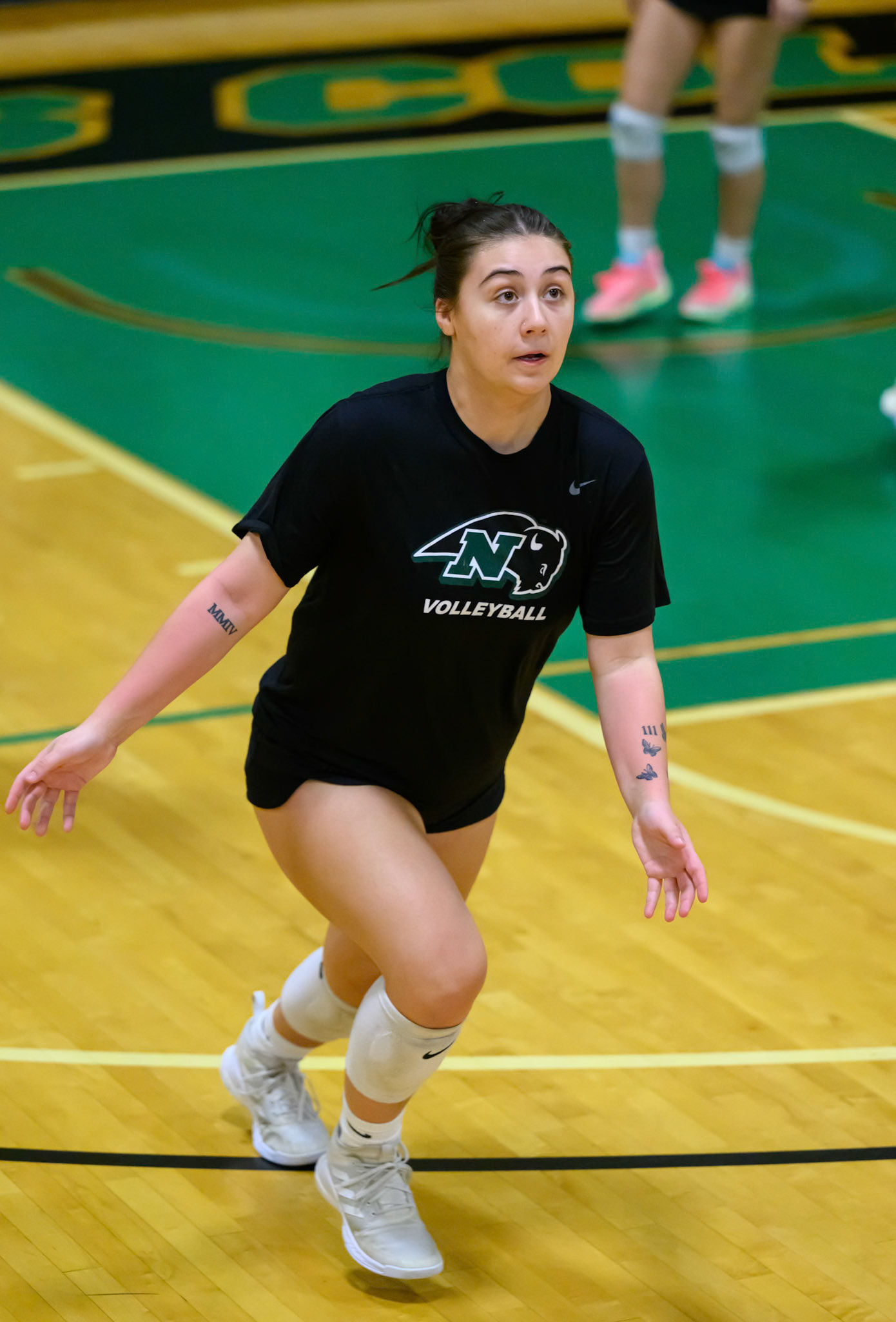 Nichols Volleyball