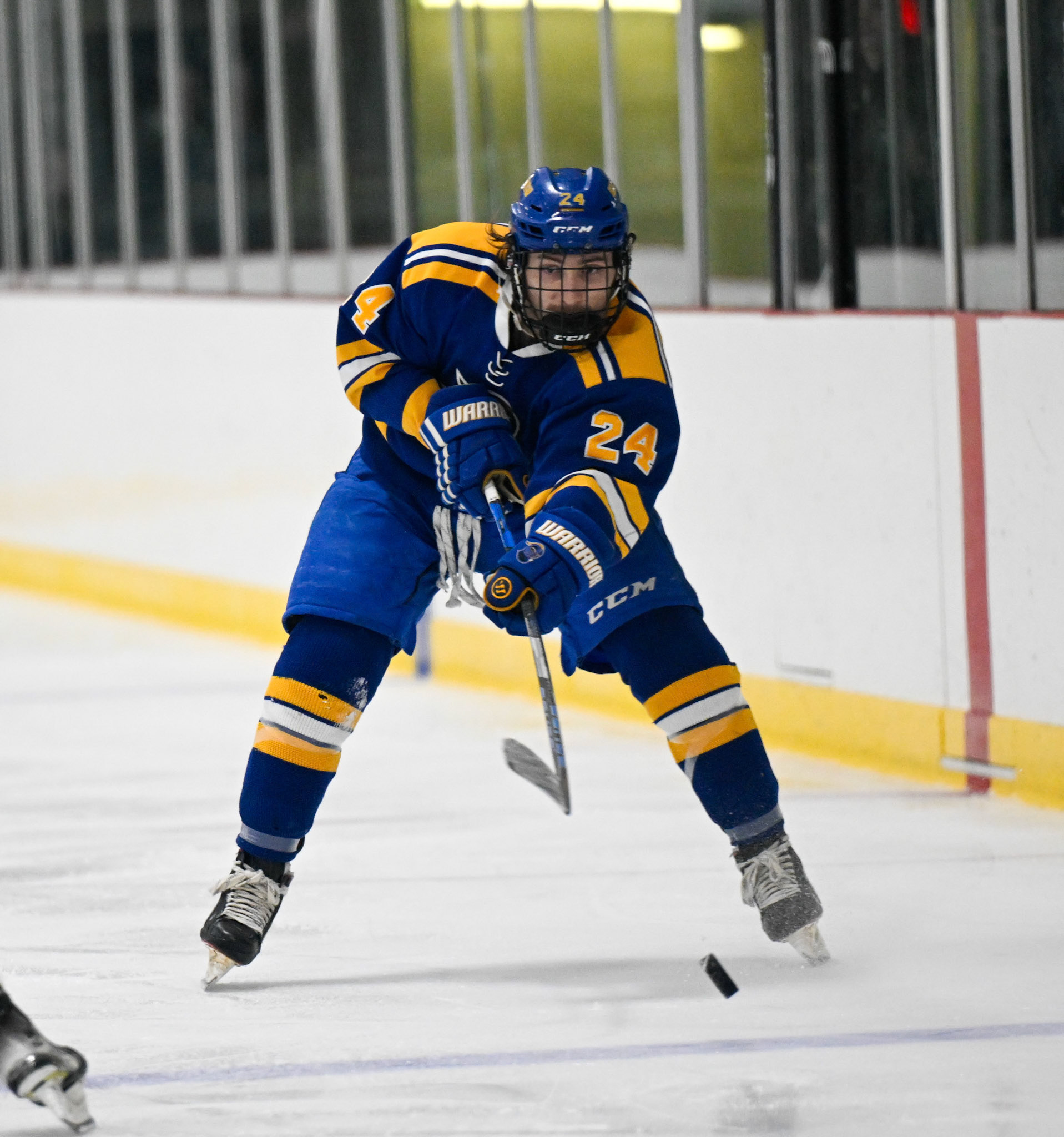 WSU Men's Ice Hockey