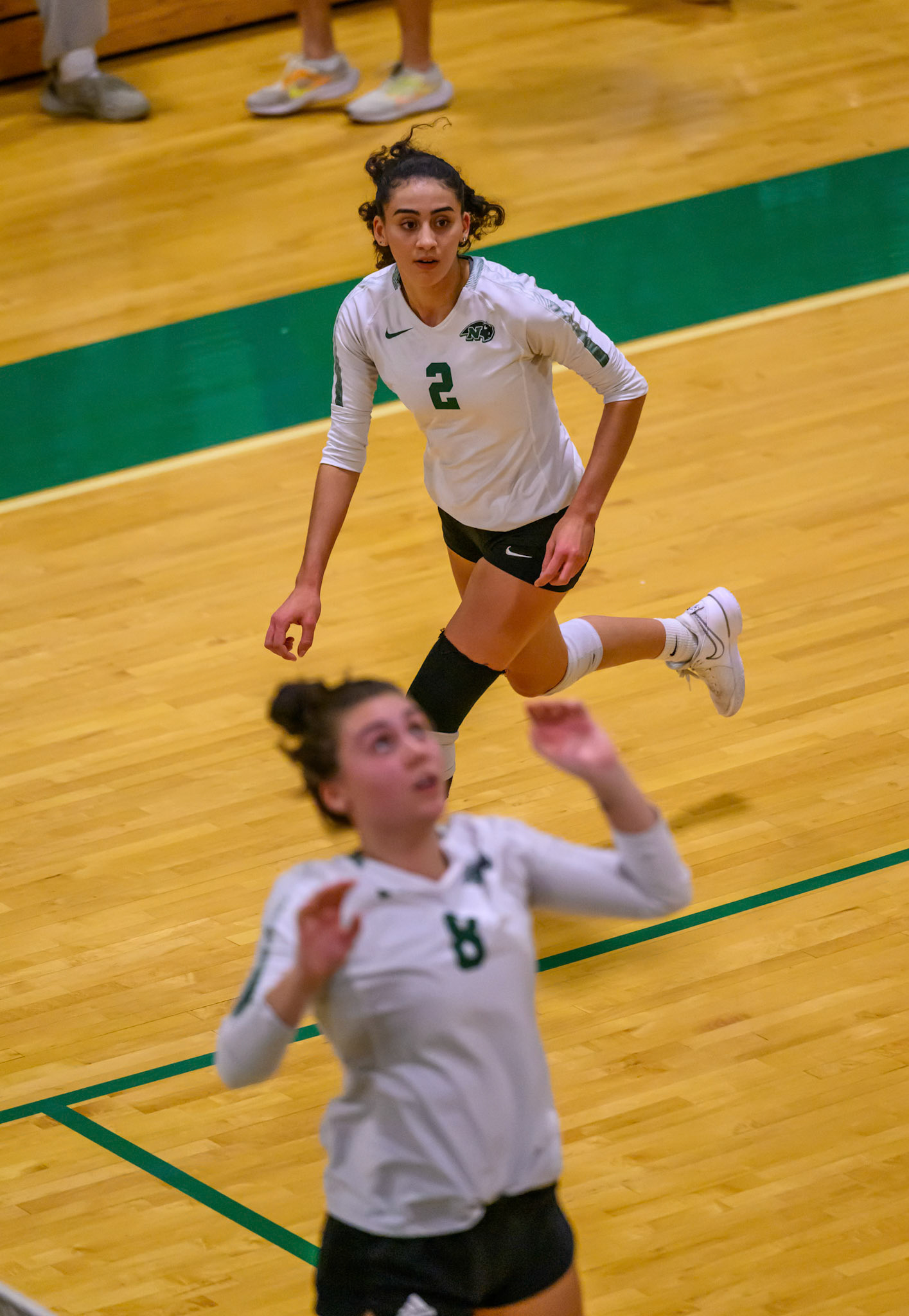 Nichols Volleyball