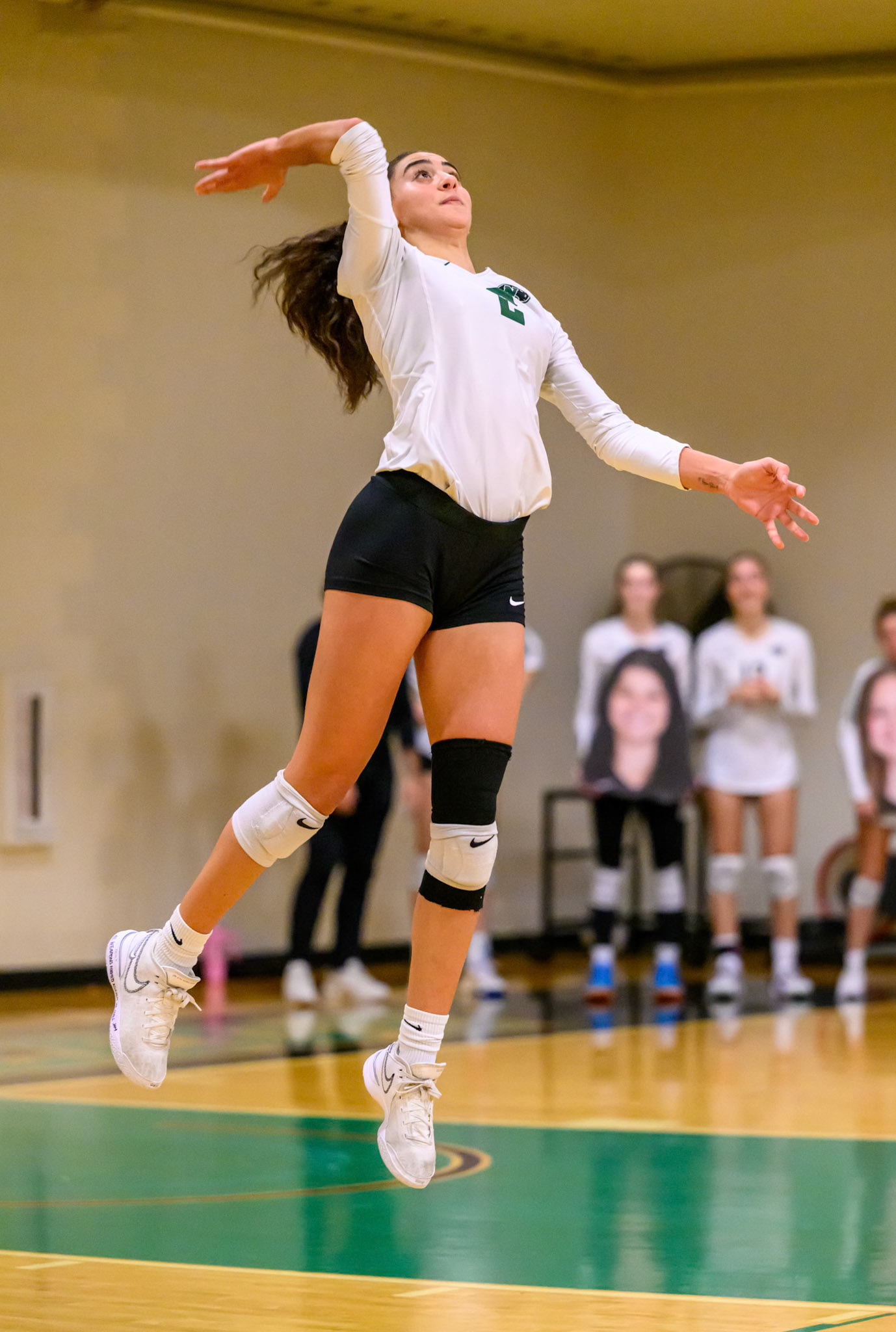 Nichols Volleyball