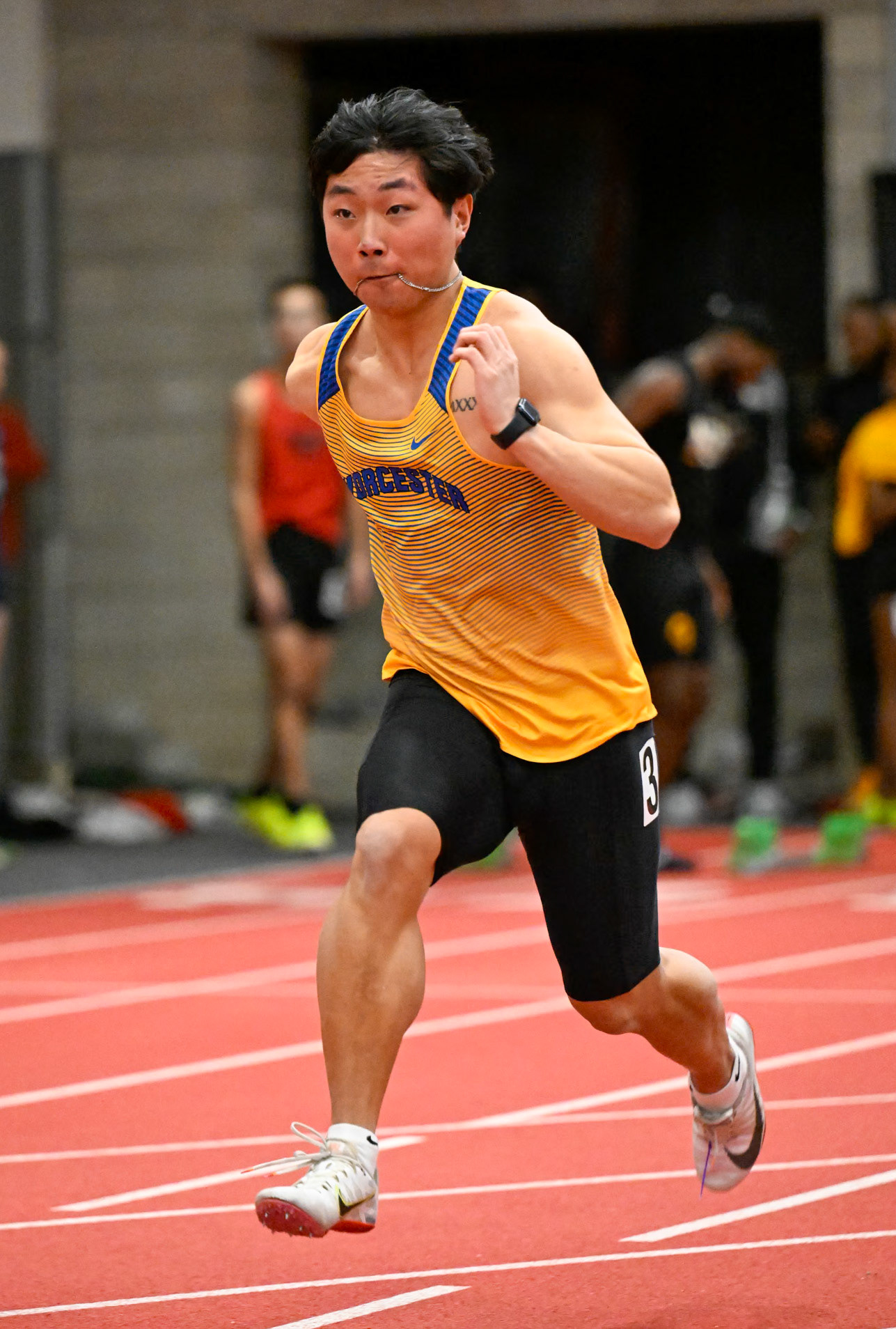 Worcester State Track