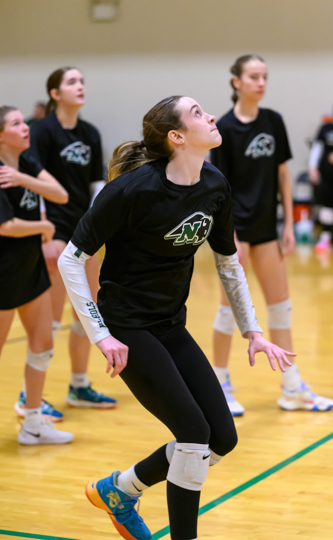 Nichols Volleyball