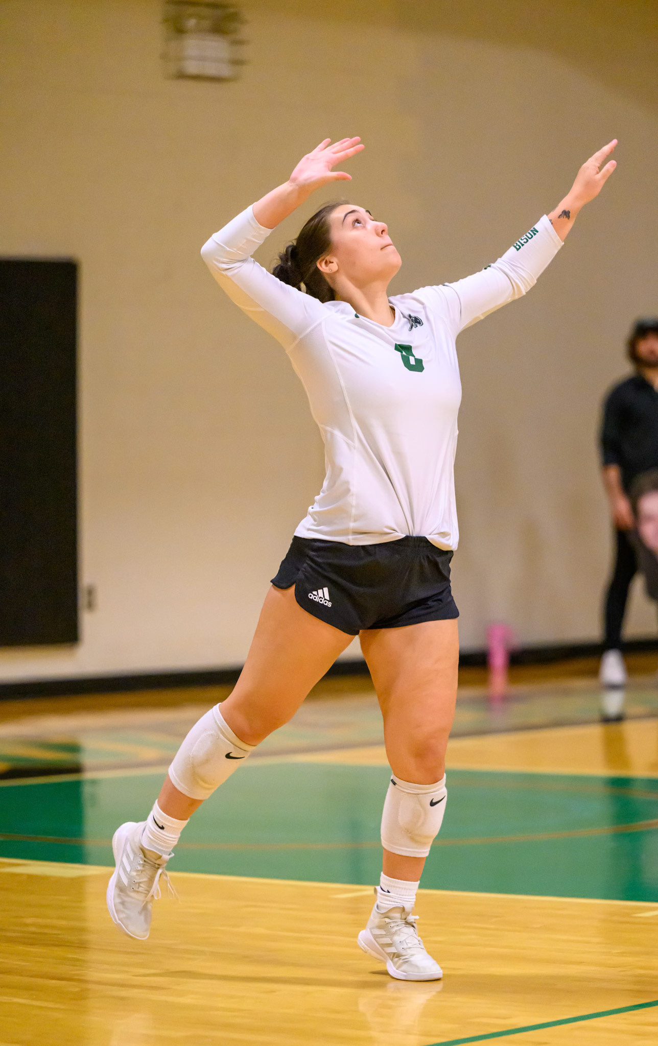 Nichols Volleyball