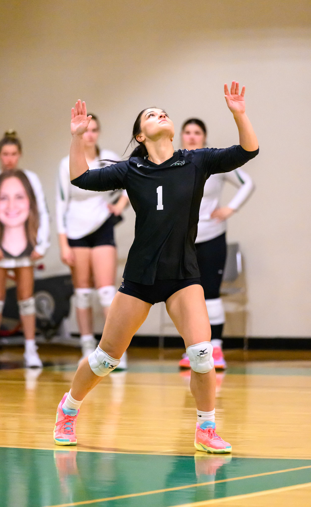 Nichols Volleyball