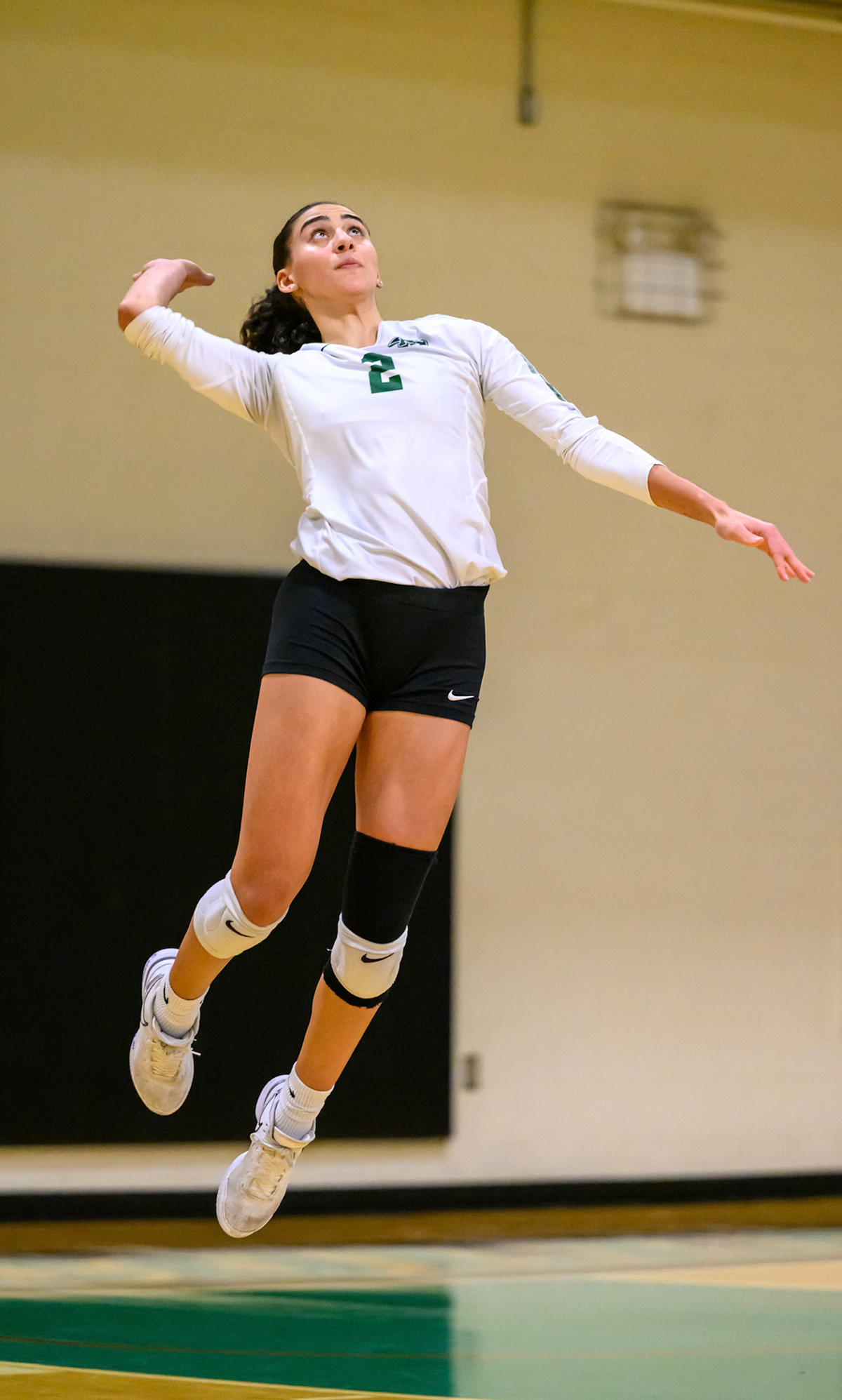 Nichols Volleyball