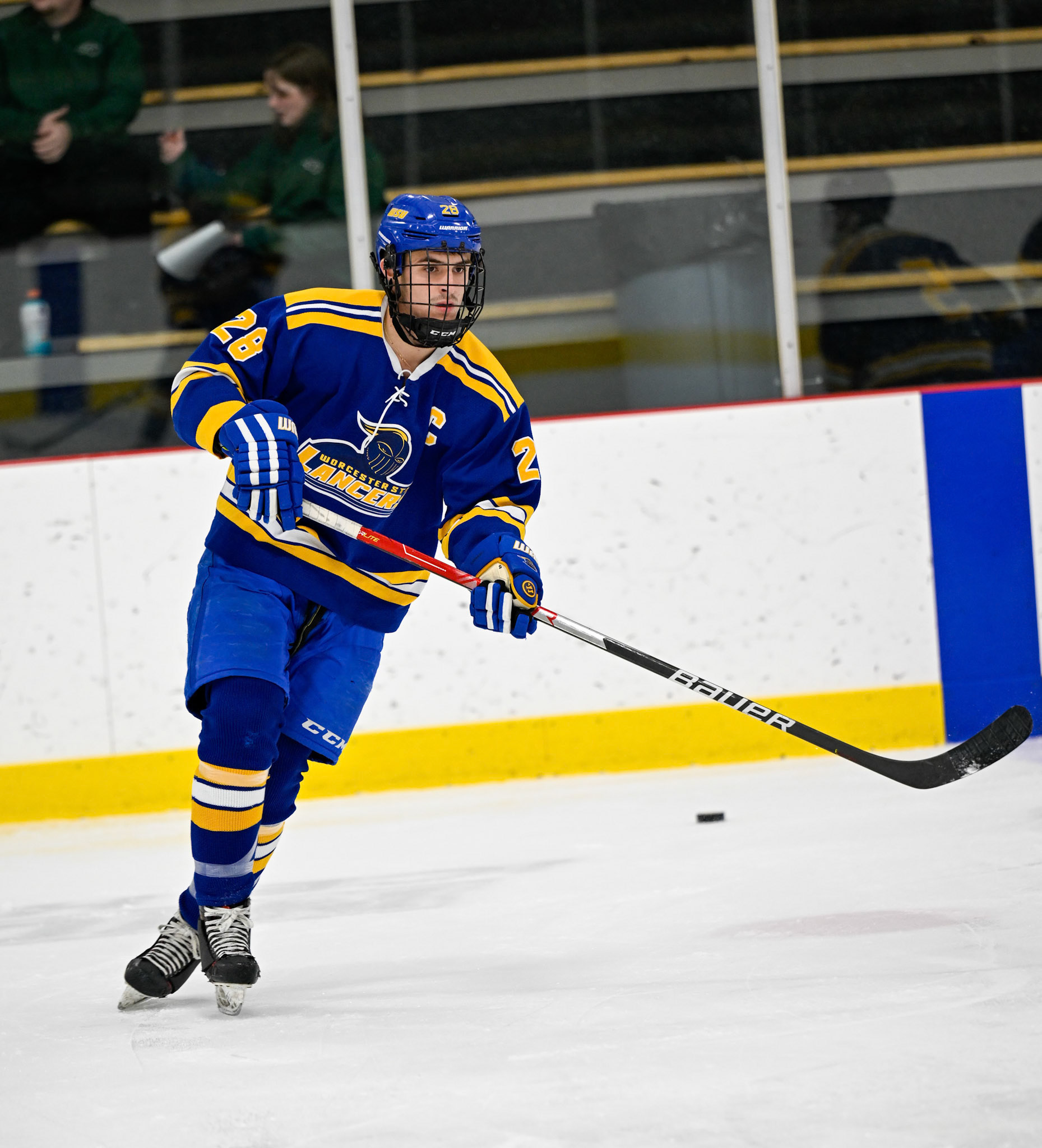WSU Men's Ice Hockey