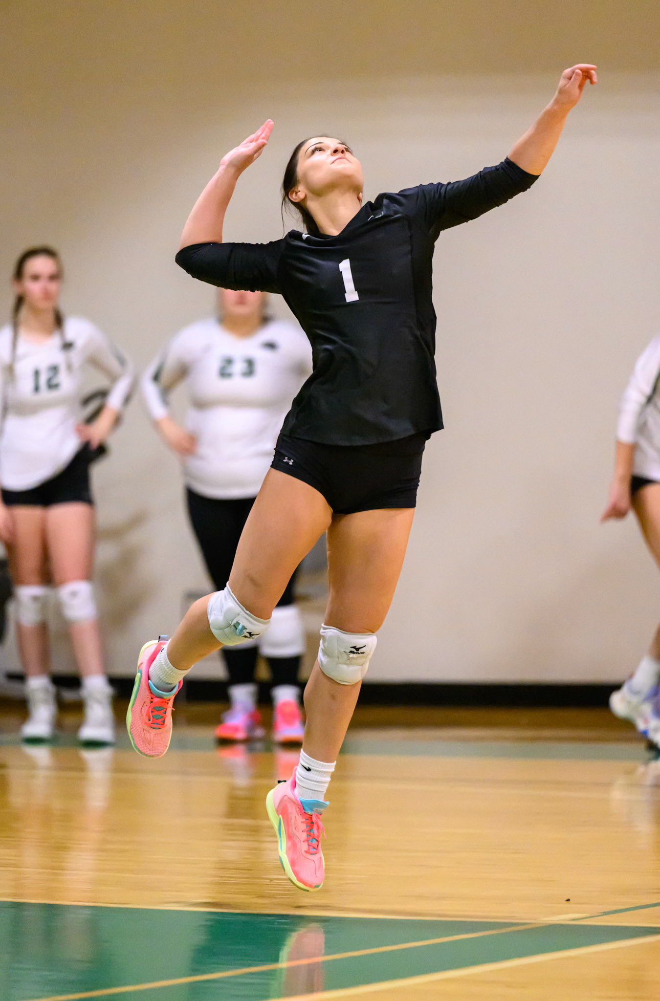 Nichols Volleyball