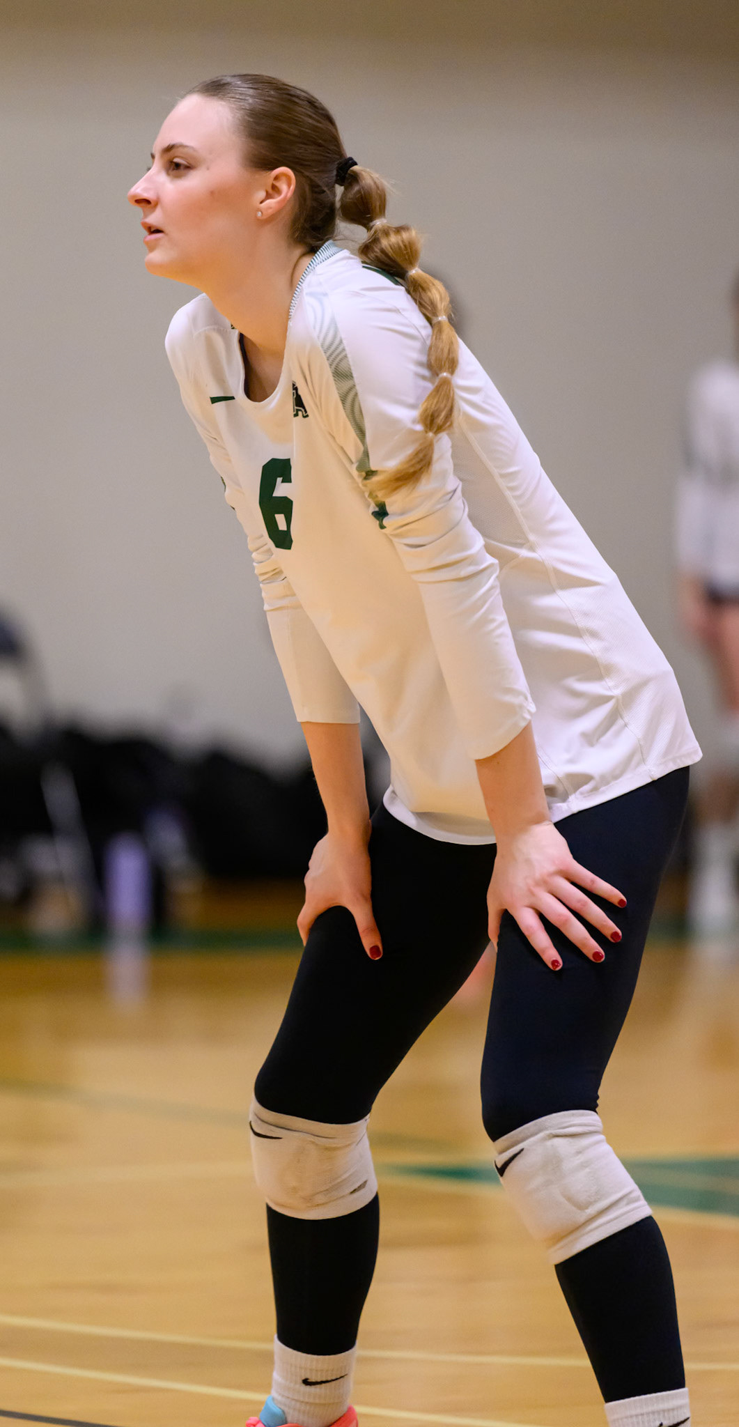 Nichols Volleyball
