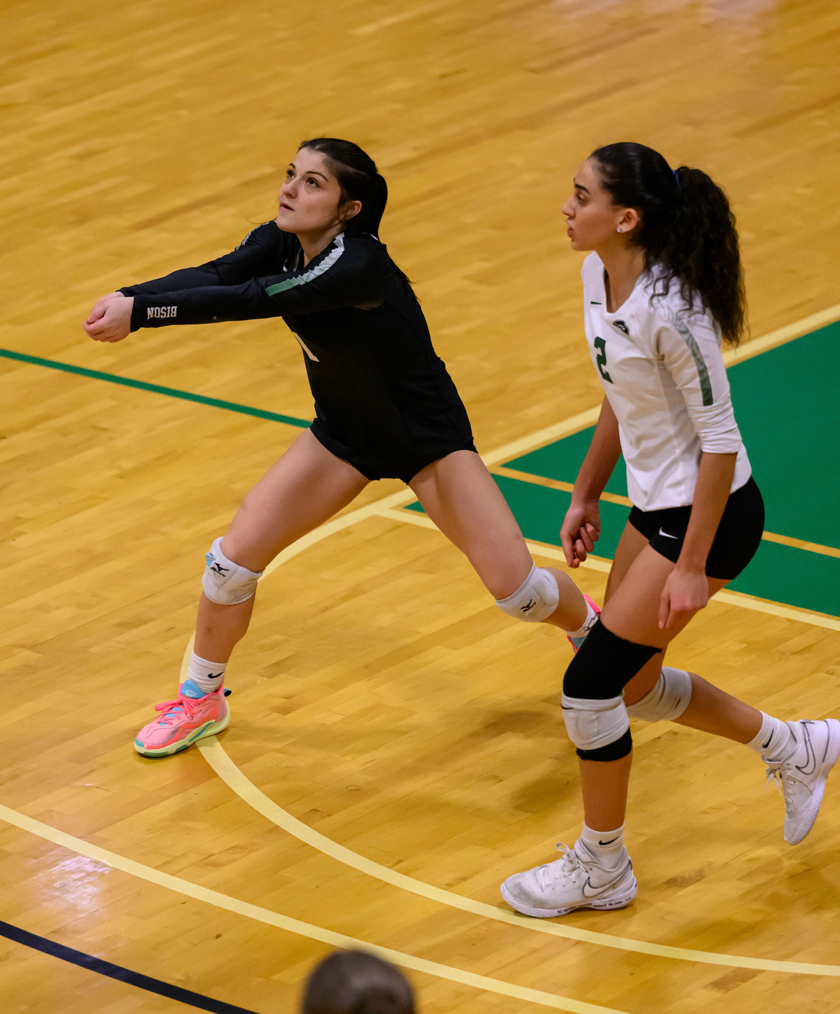 Nichols Volleyball