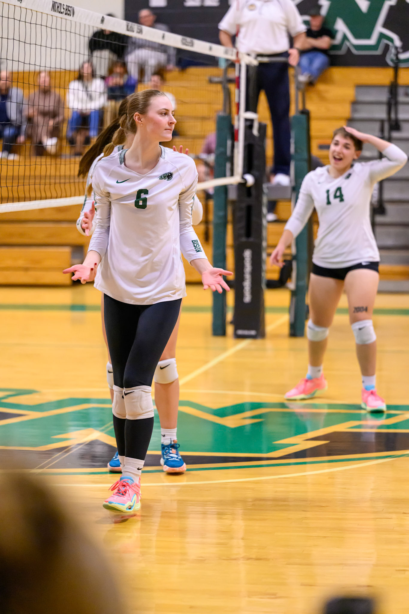 Nichols Volleyball