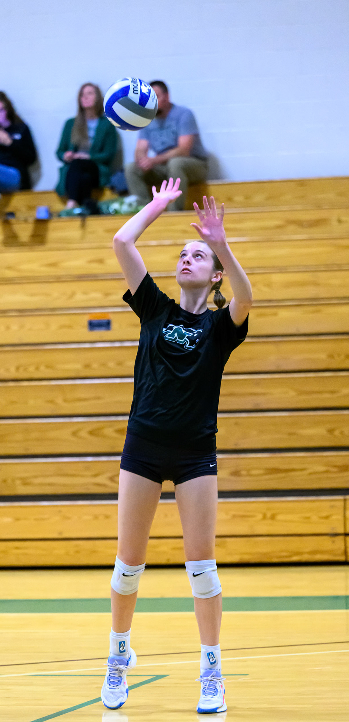 Nichols Volleyball
