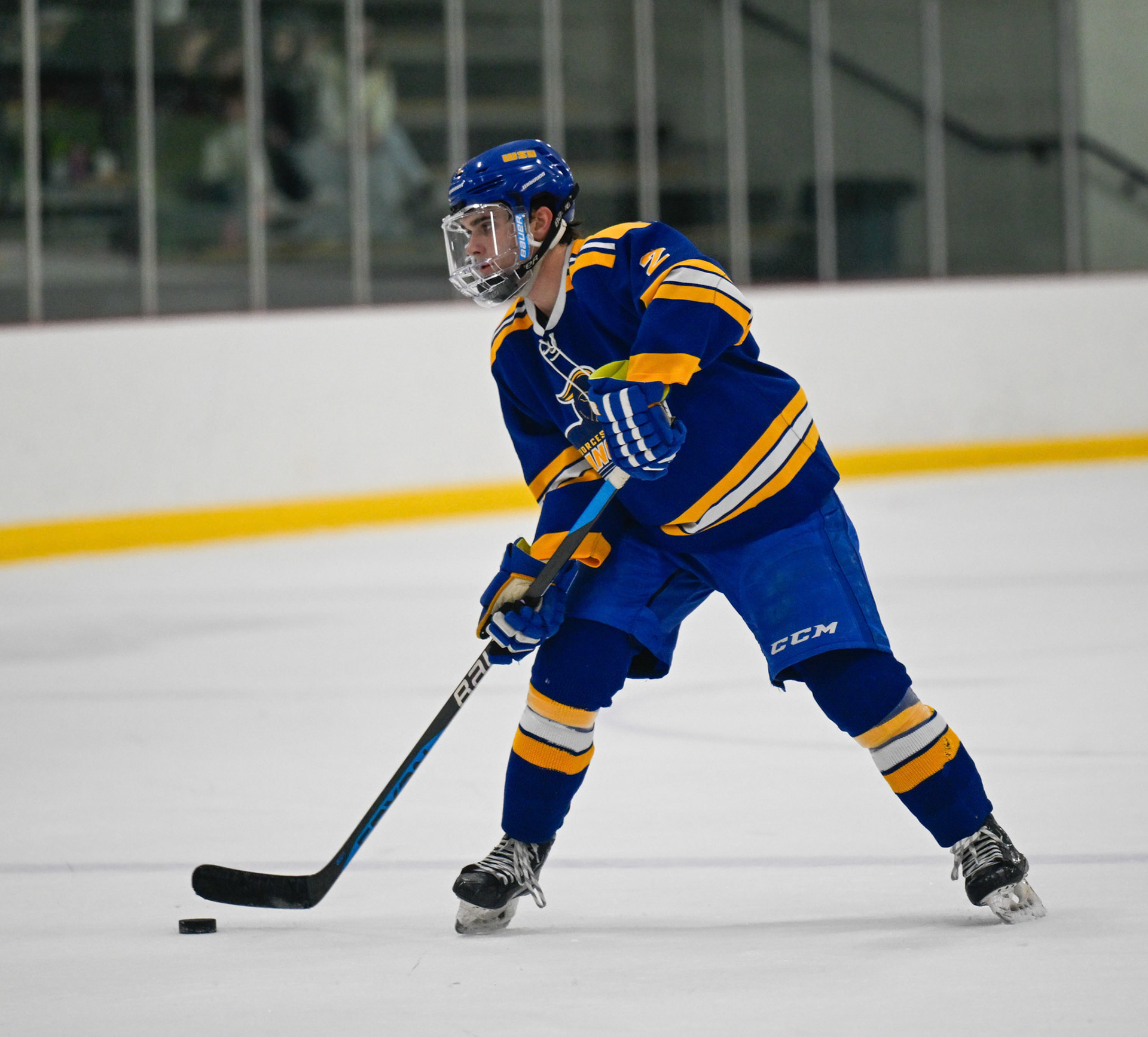 WSU Men's Ice Hockey