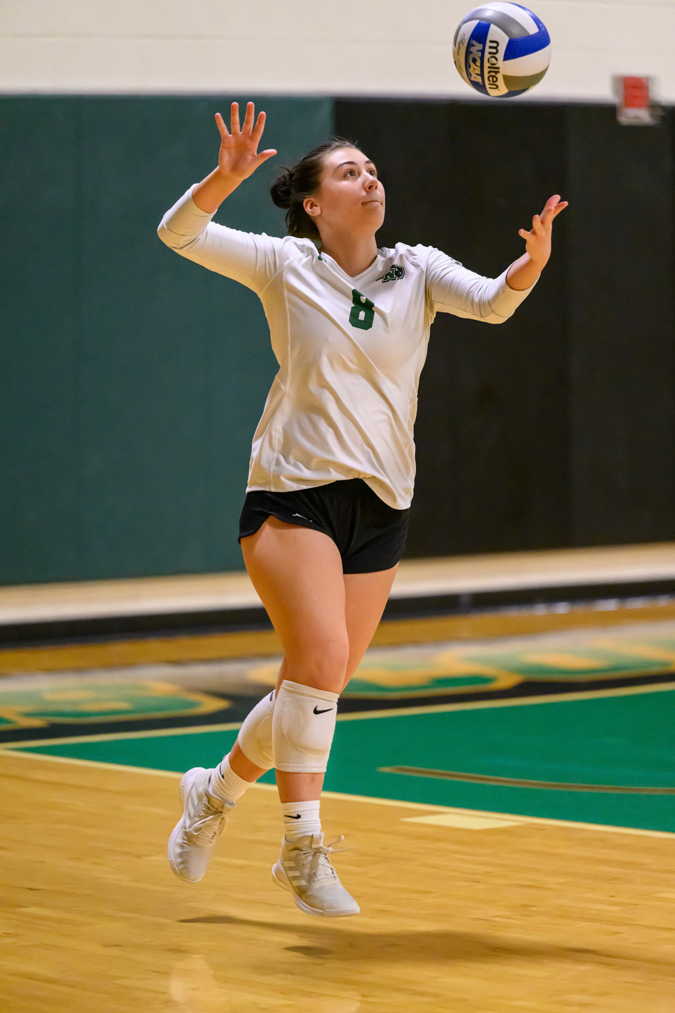 Nichols Volleyball