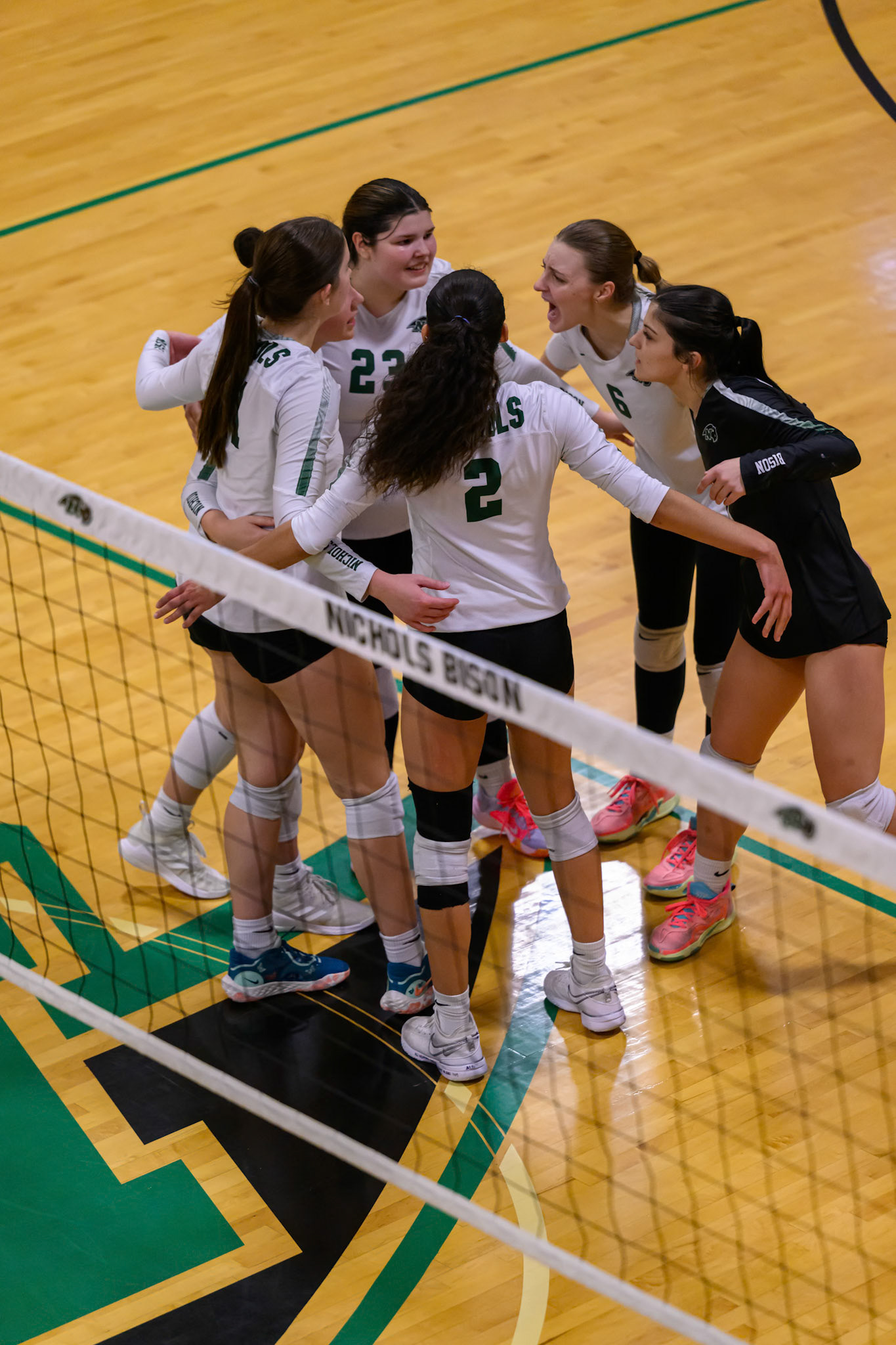 Nichols Volleyball