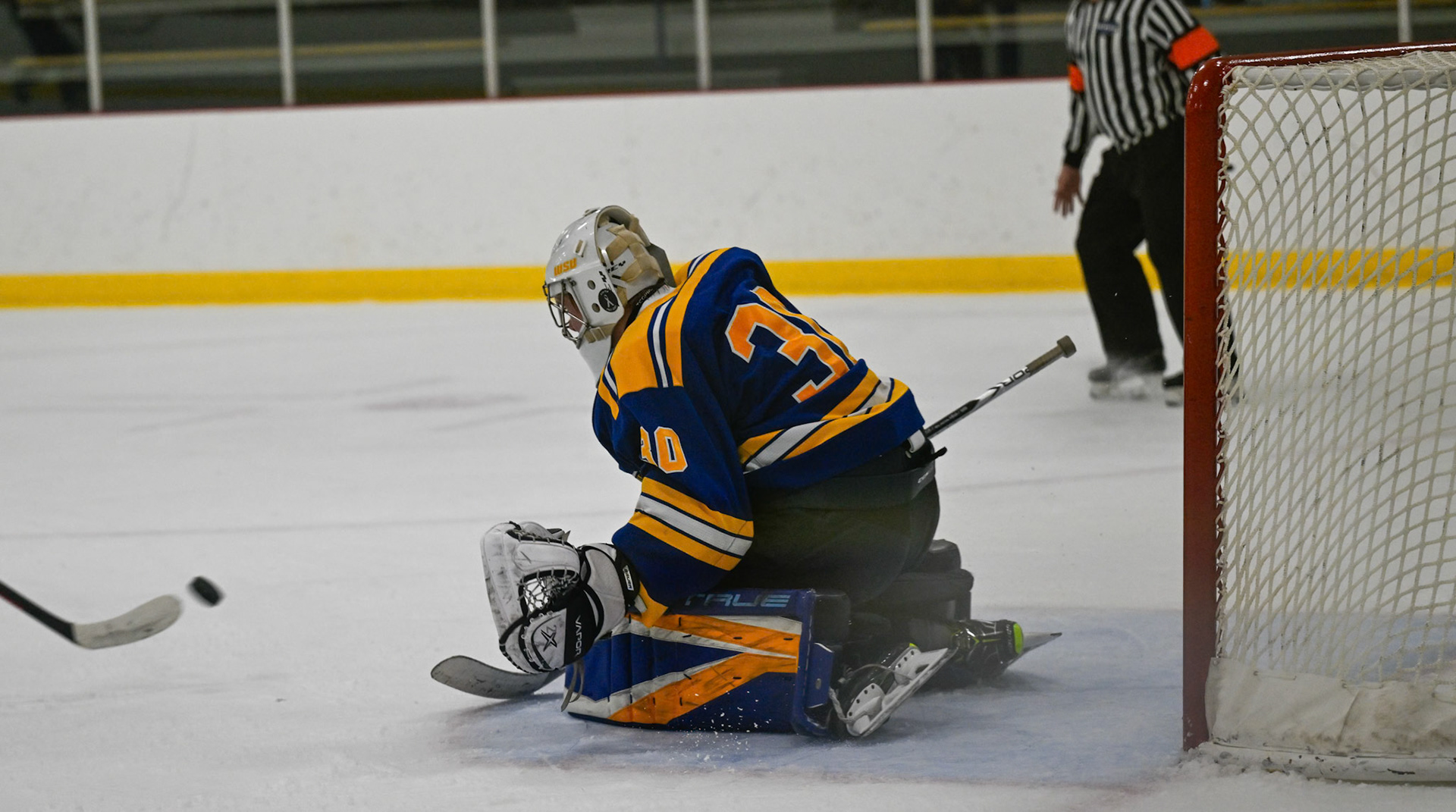 WSU Men's Ice Hockey