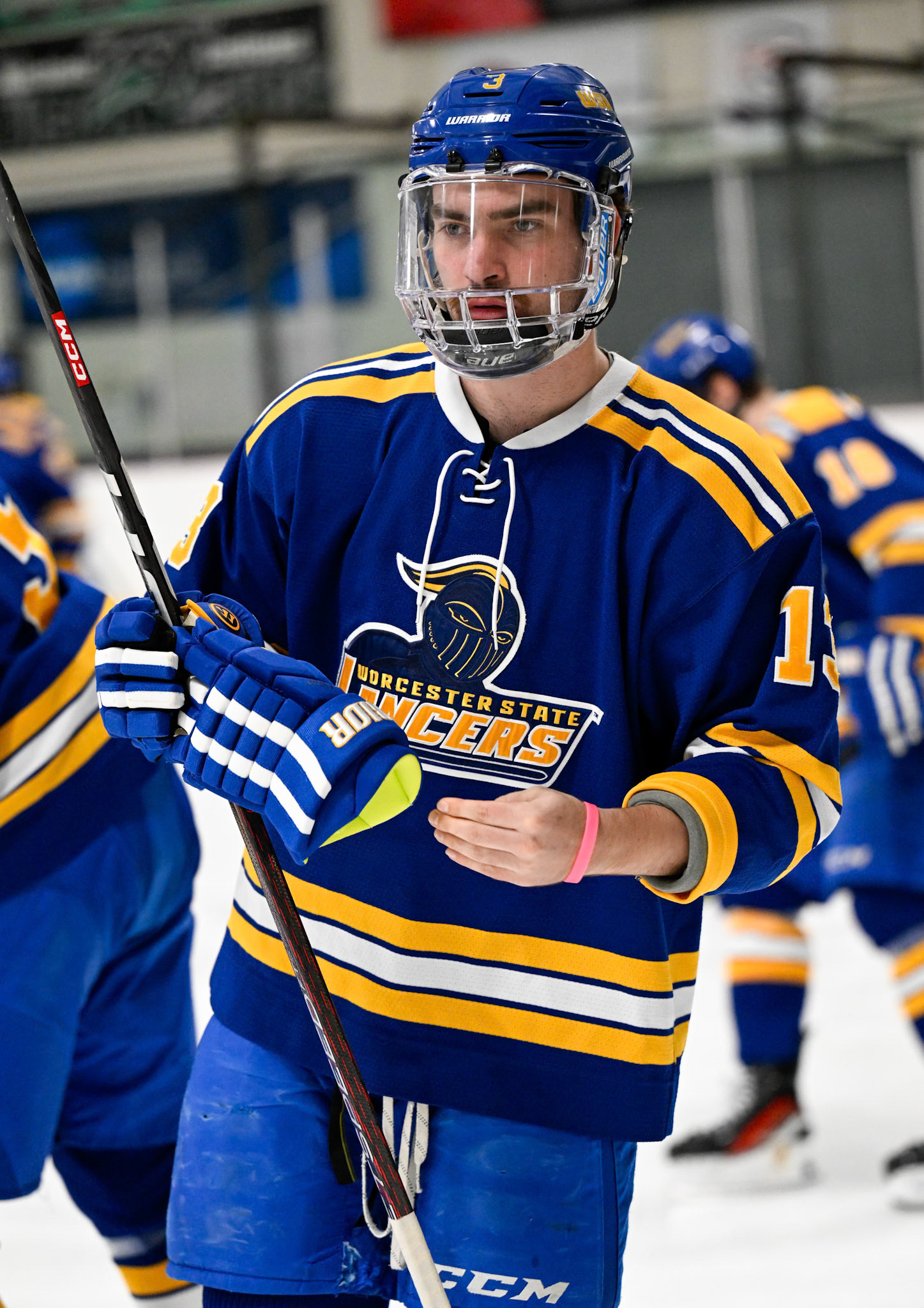 WSU Men's Ice Hockey