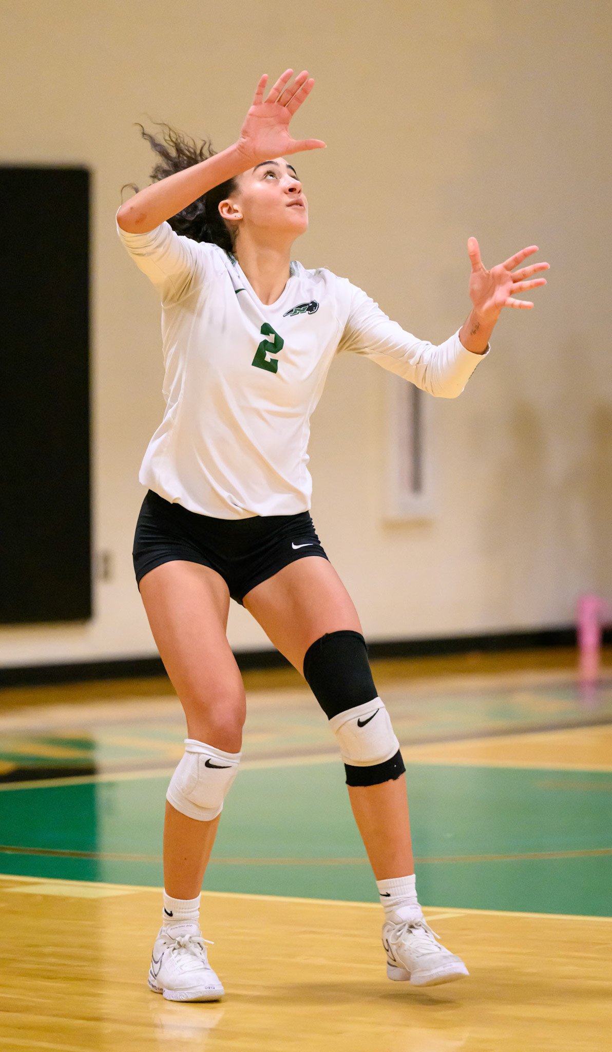 Nichols Volleyball