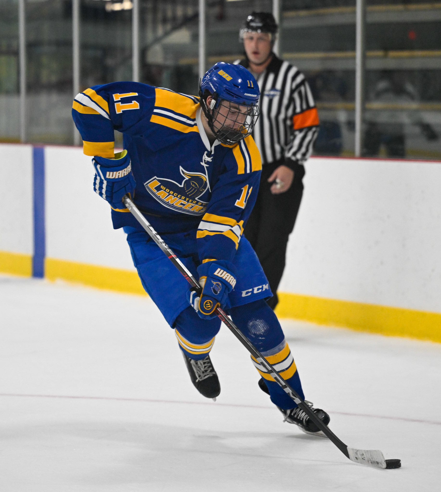 WSU Men's Ice Hockey