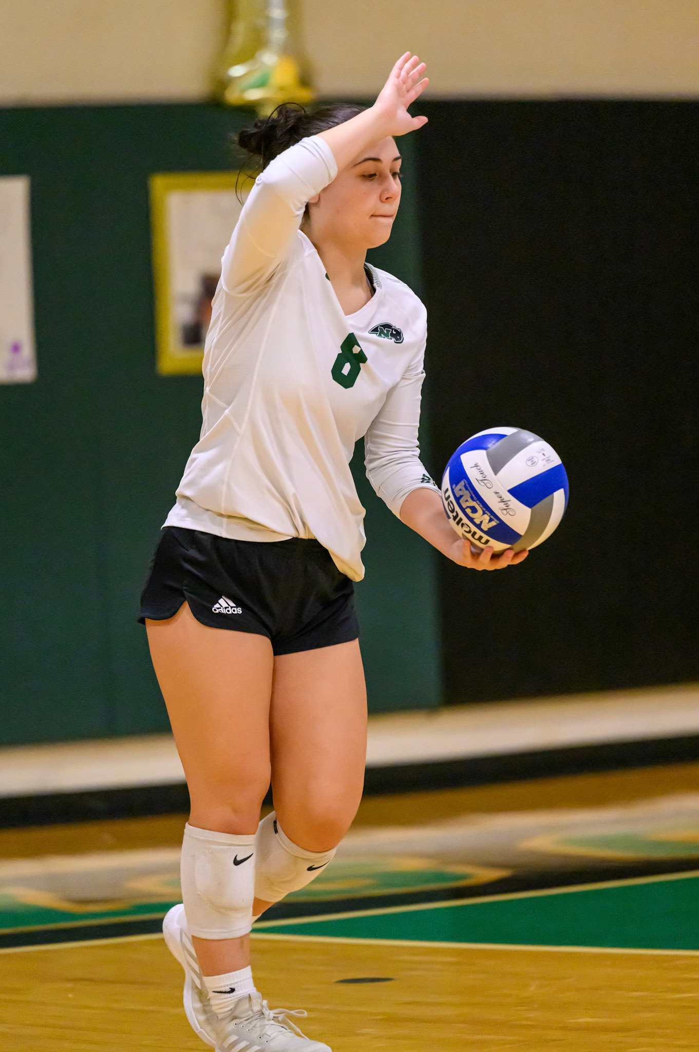 Nichols Volleyball
