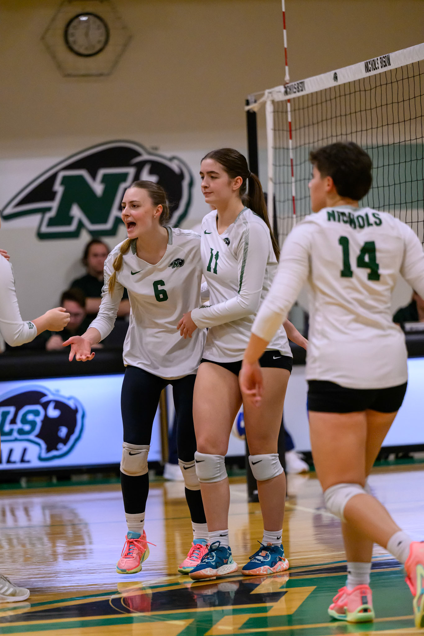 Nichols Volleyball