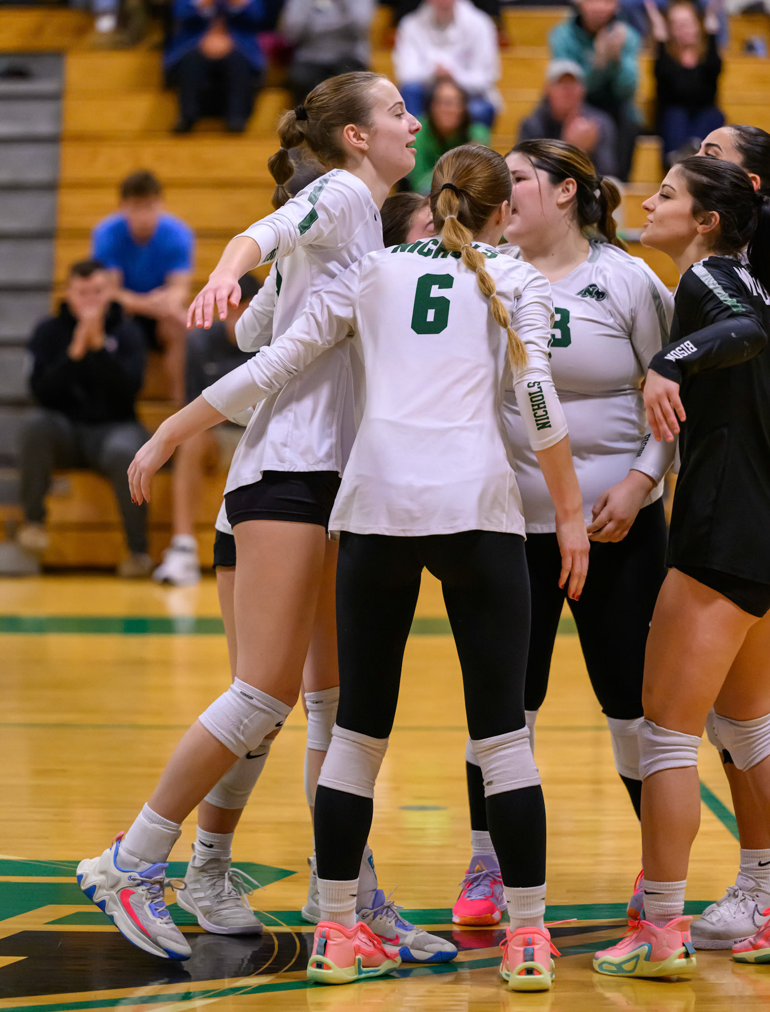 Nichols Volleyball