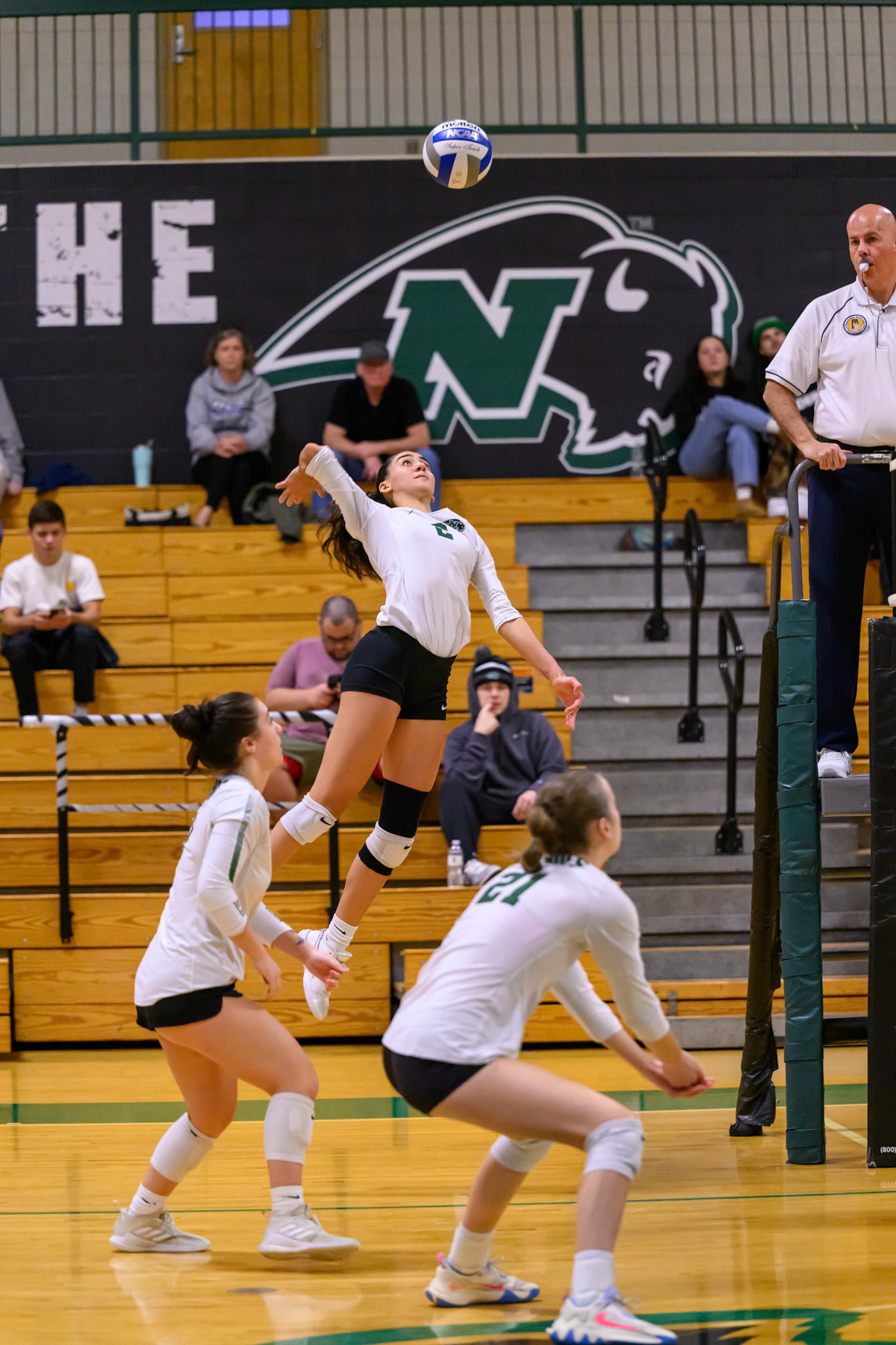 Nichols Volleyball
