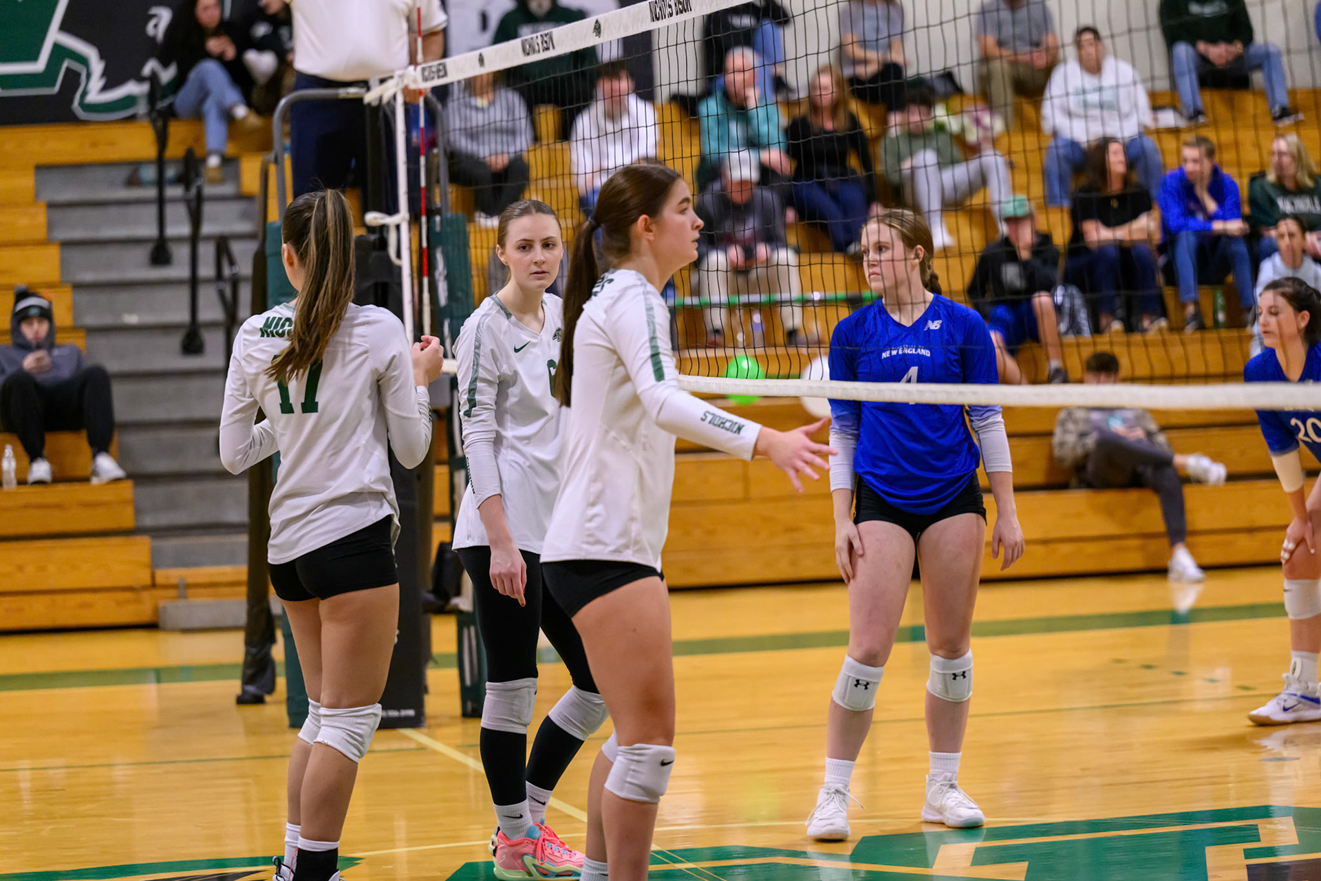 Nichols Volleyball