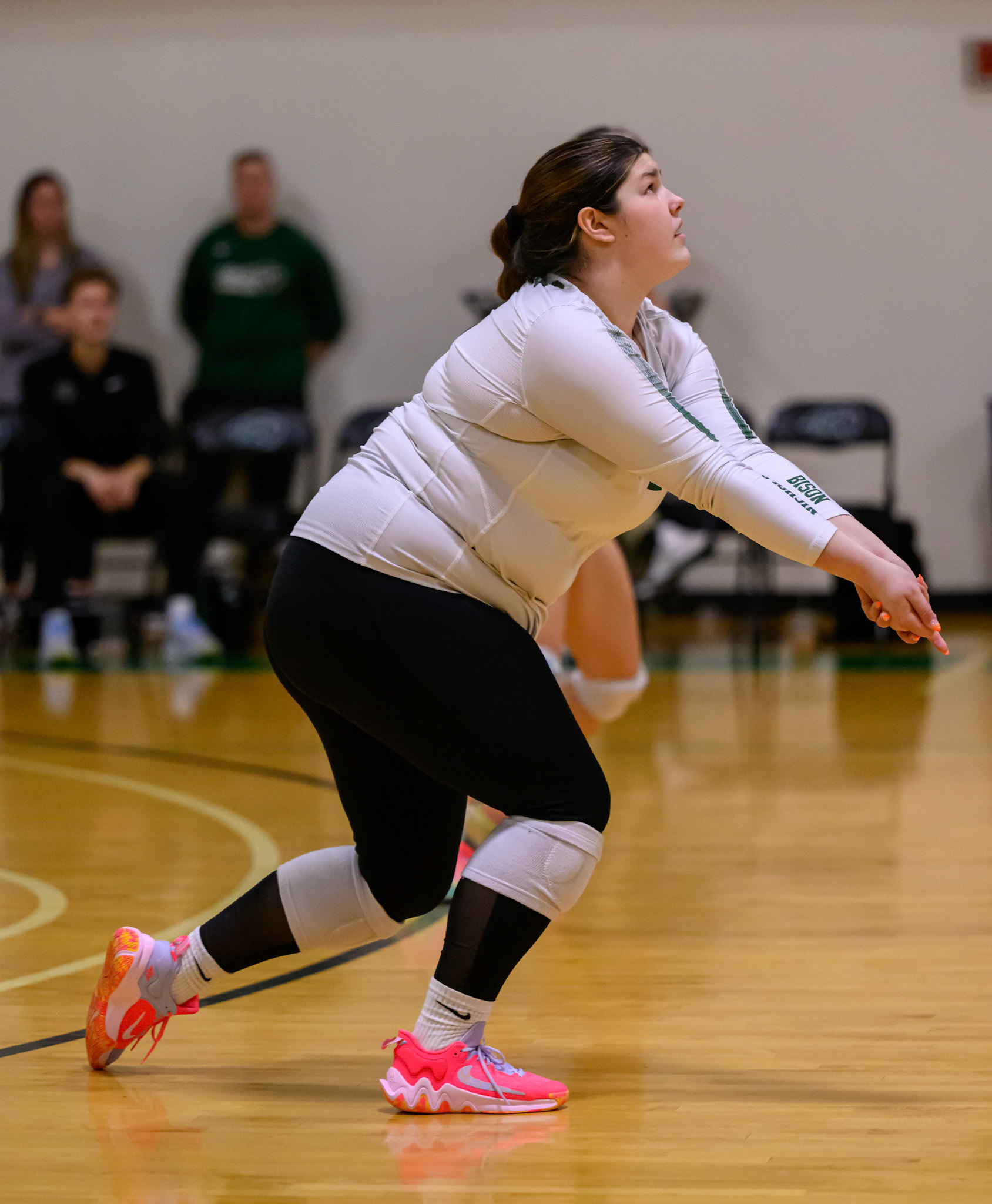 Nichols Volleyball