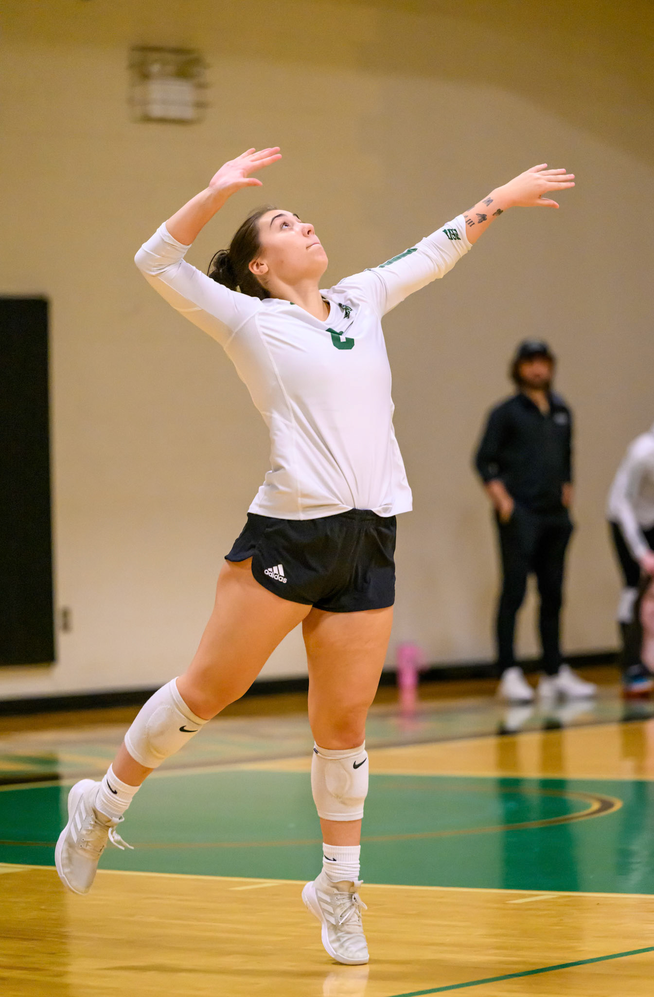 Nichols Volleyball