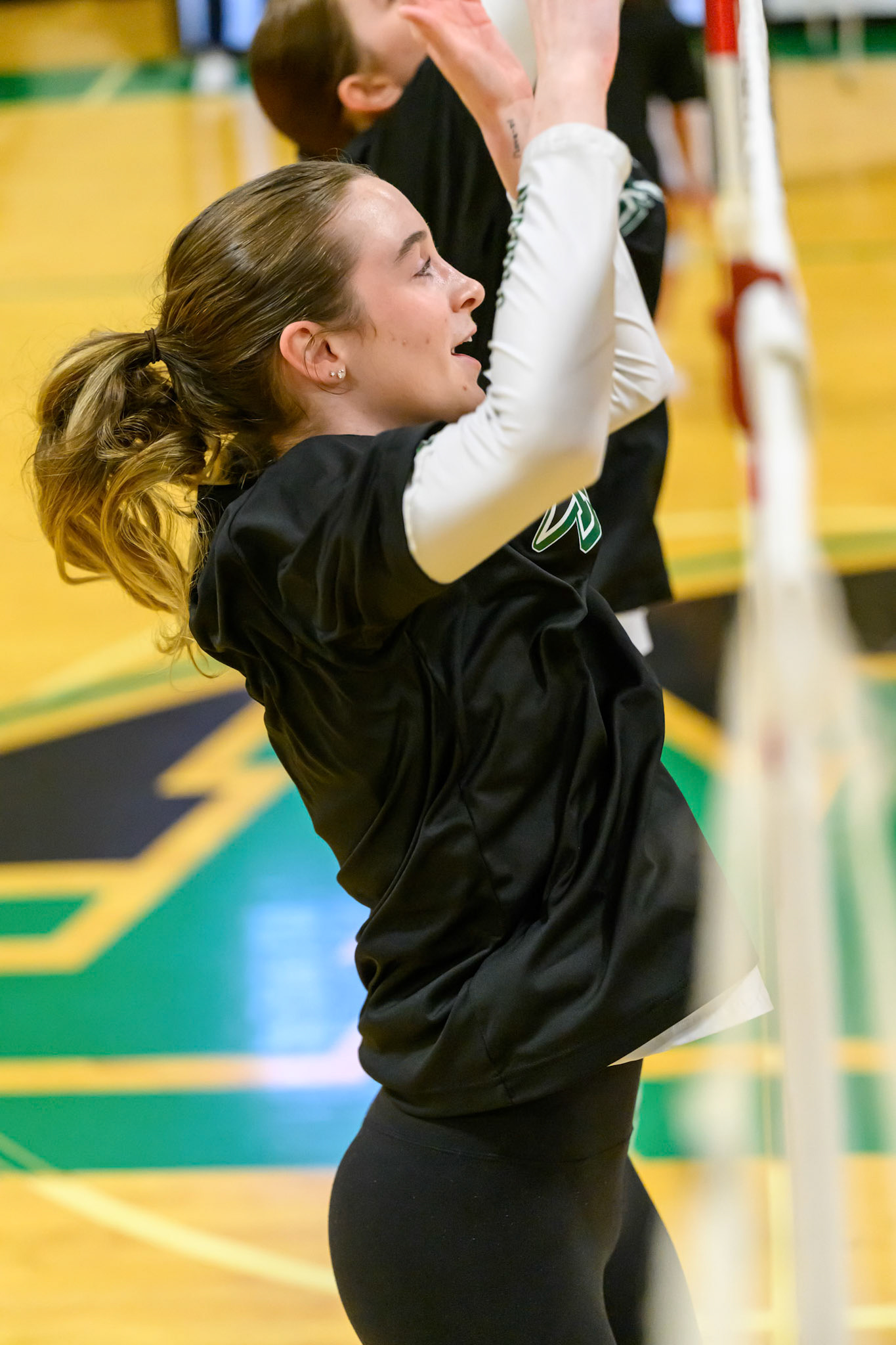 Nichols Volleyball