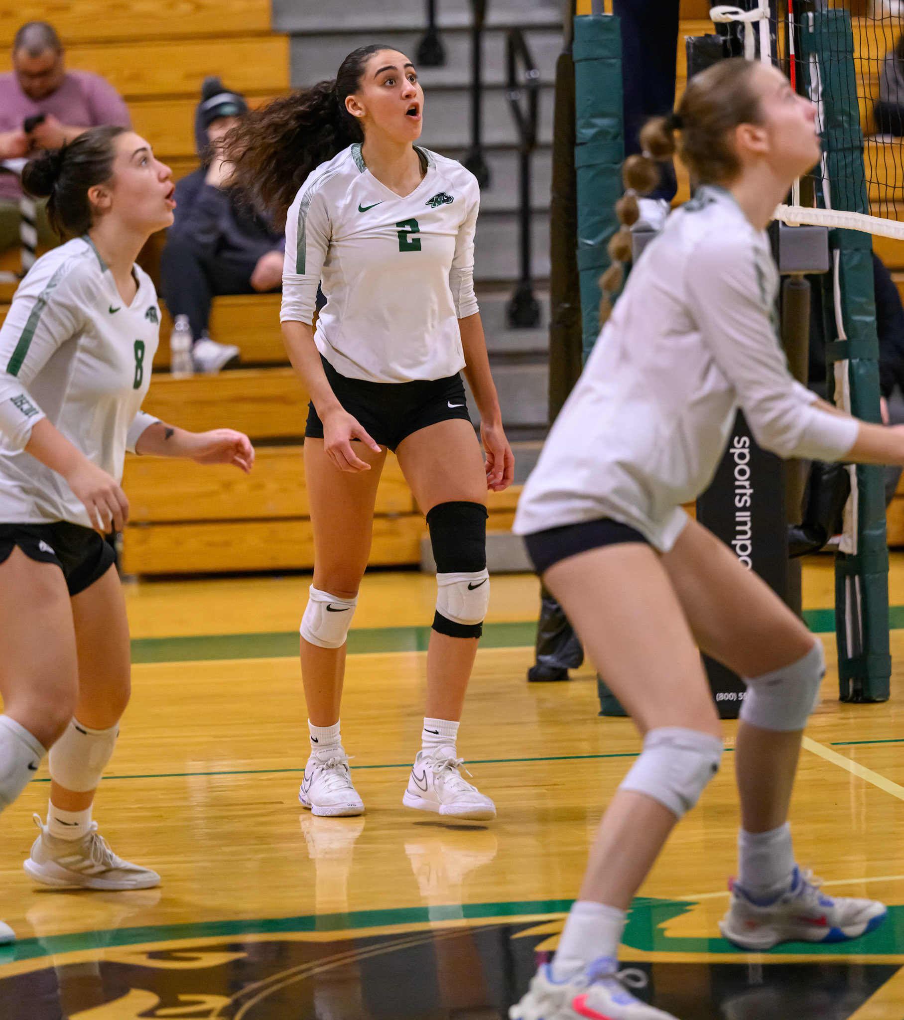 Nichols Volleyball