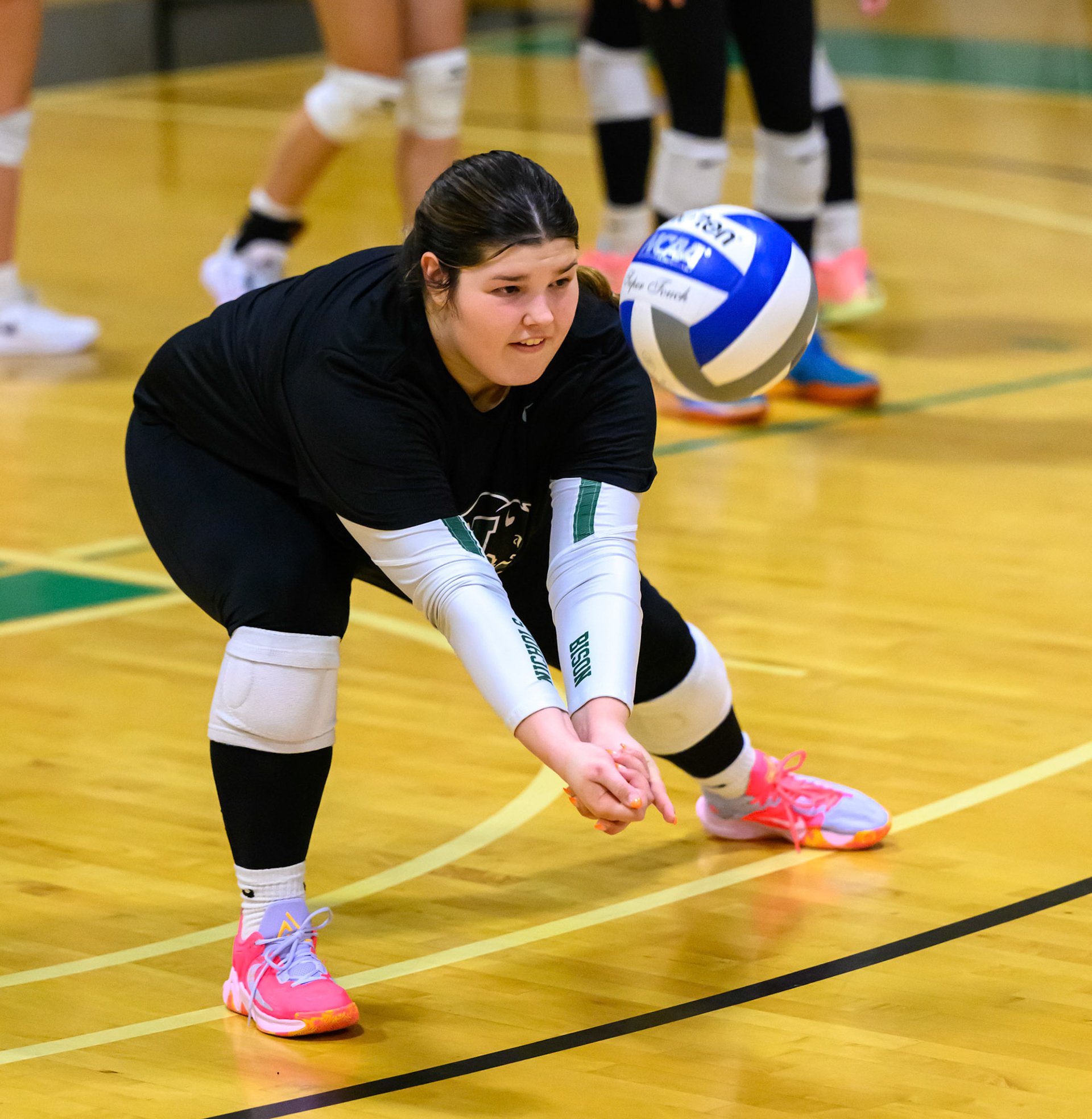 Nichols Volleyball