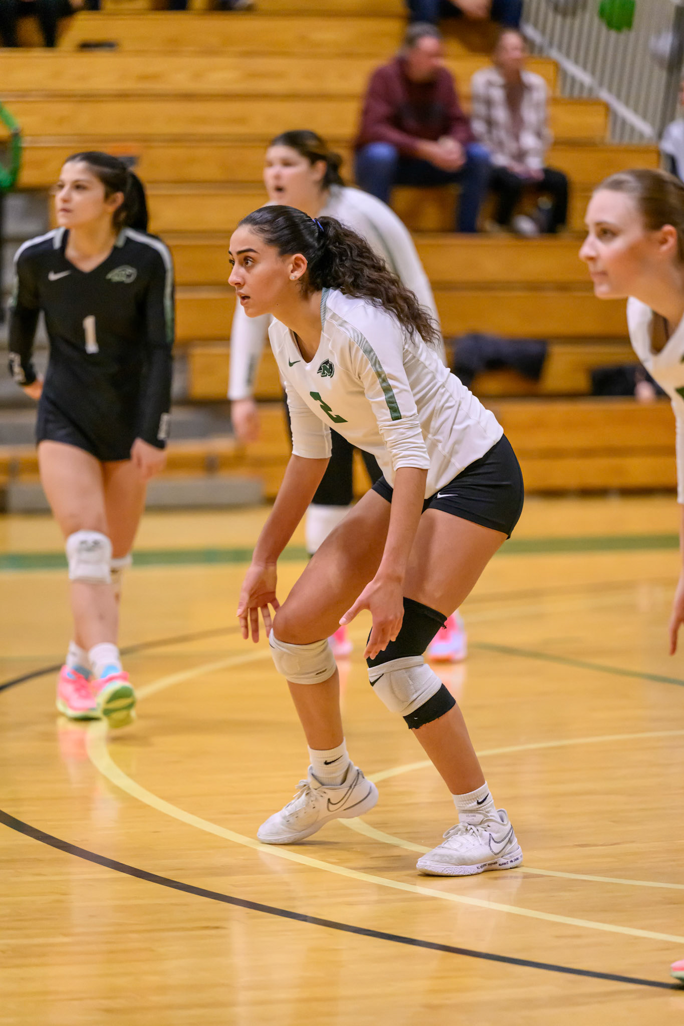 Nichols Volleyball