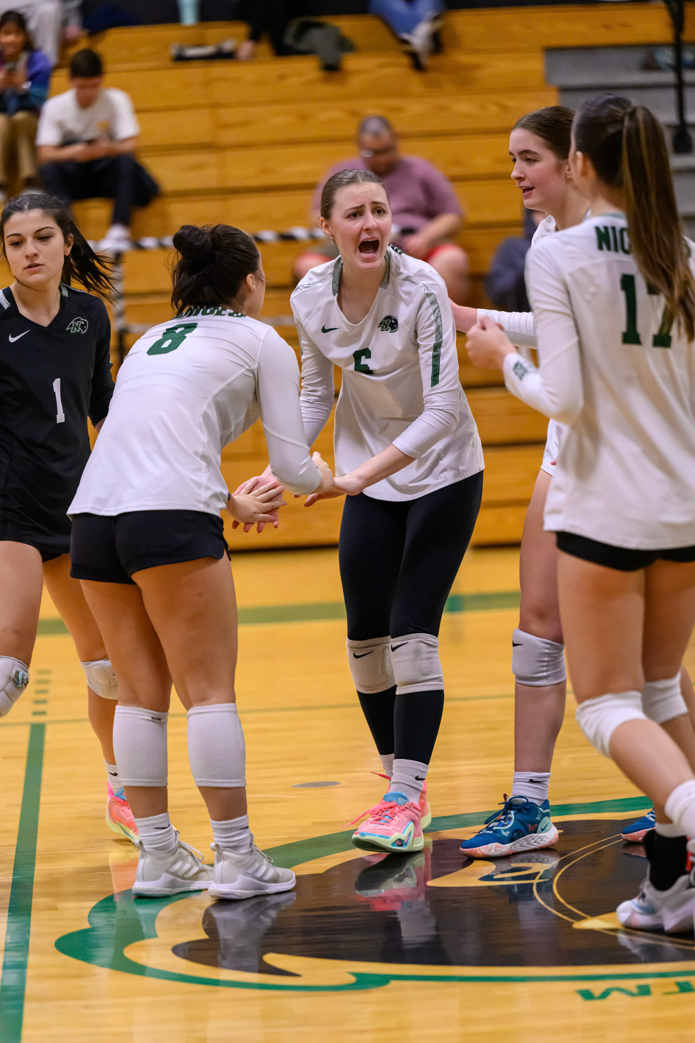 Nichols Volleyball